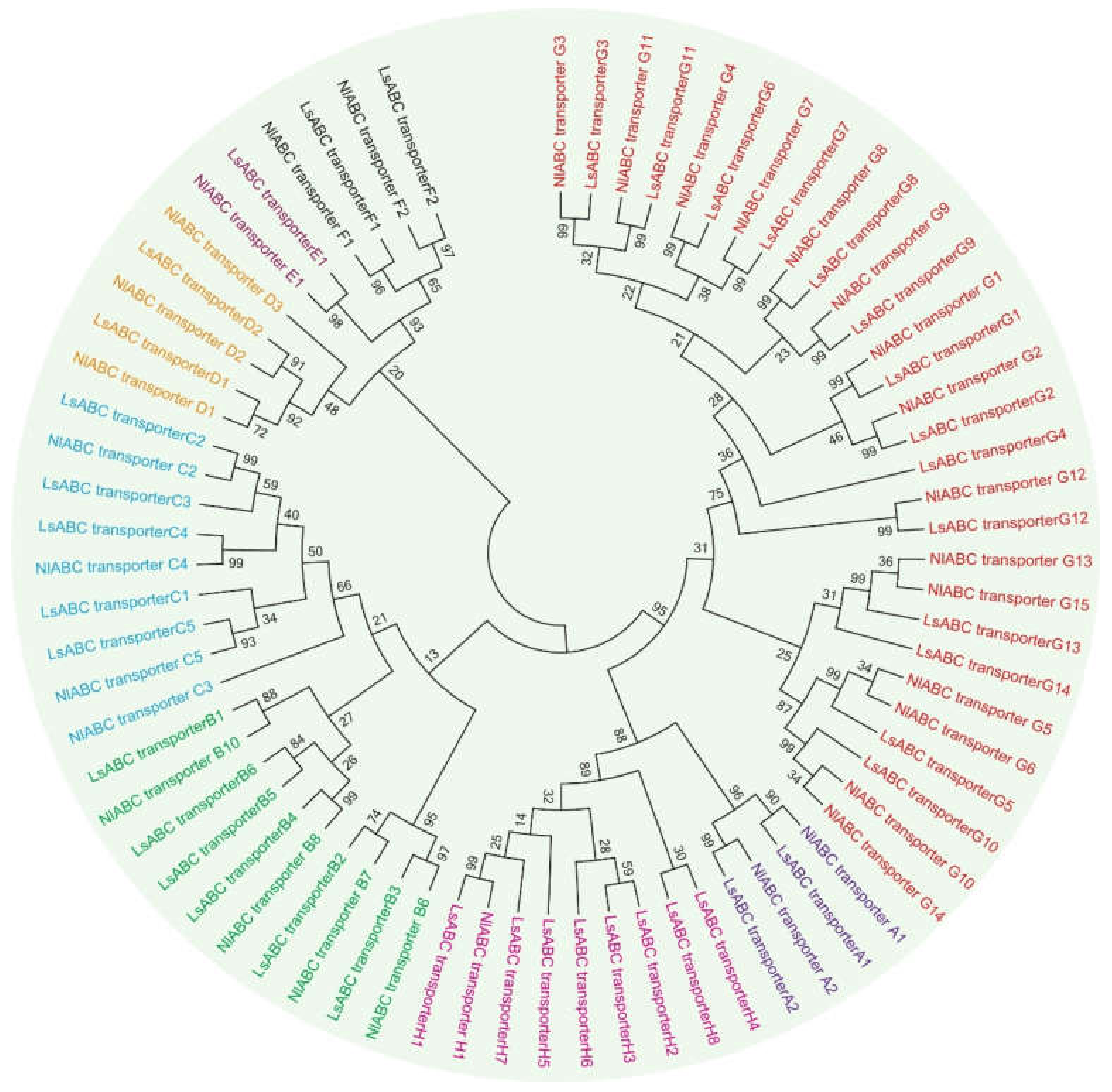 Insects 11 00280 g001