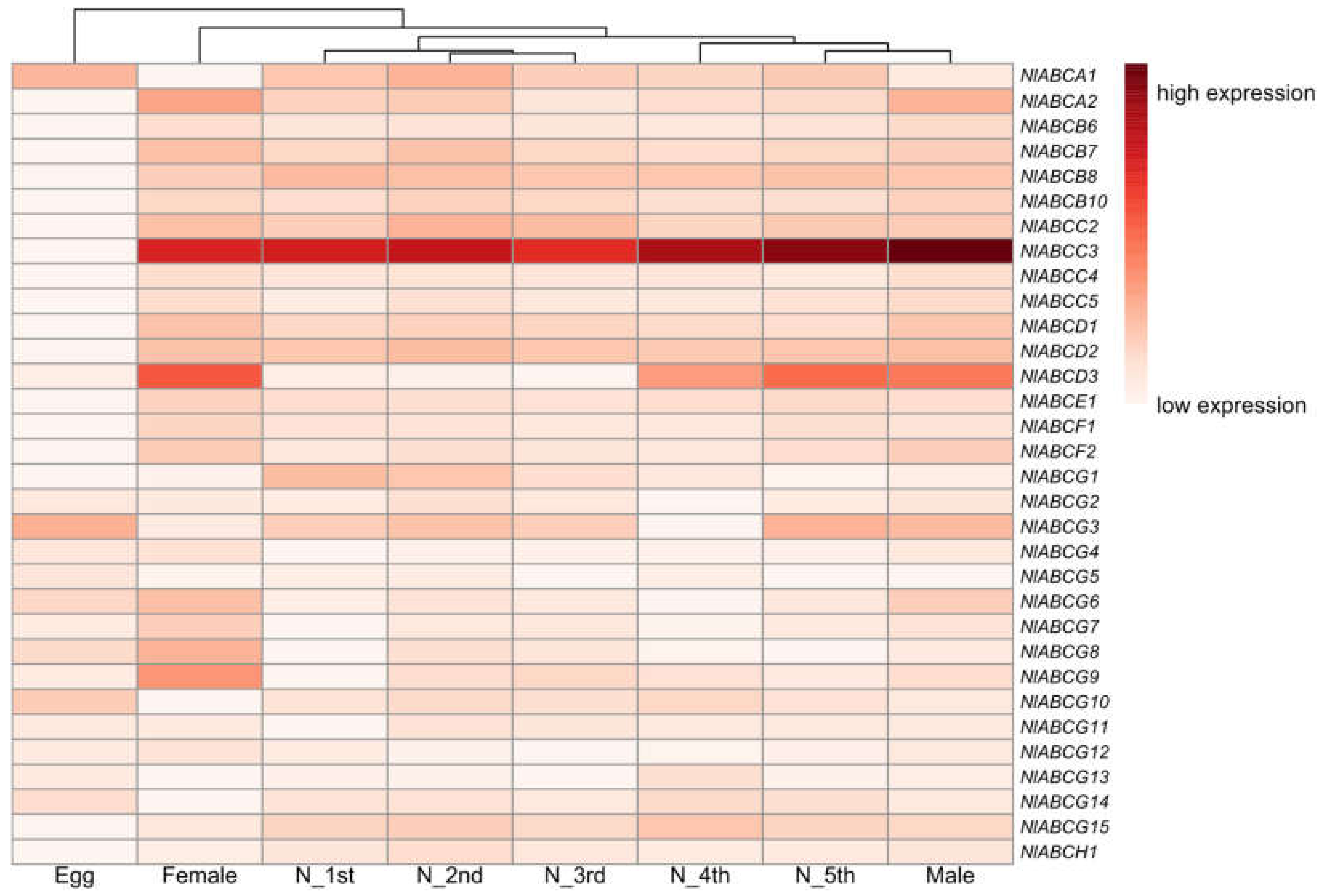 Insects 11 00280 g002