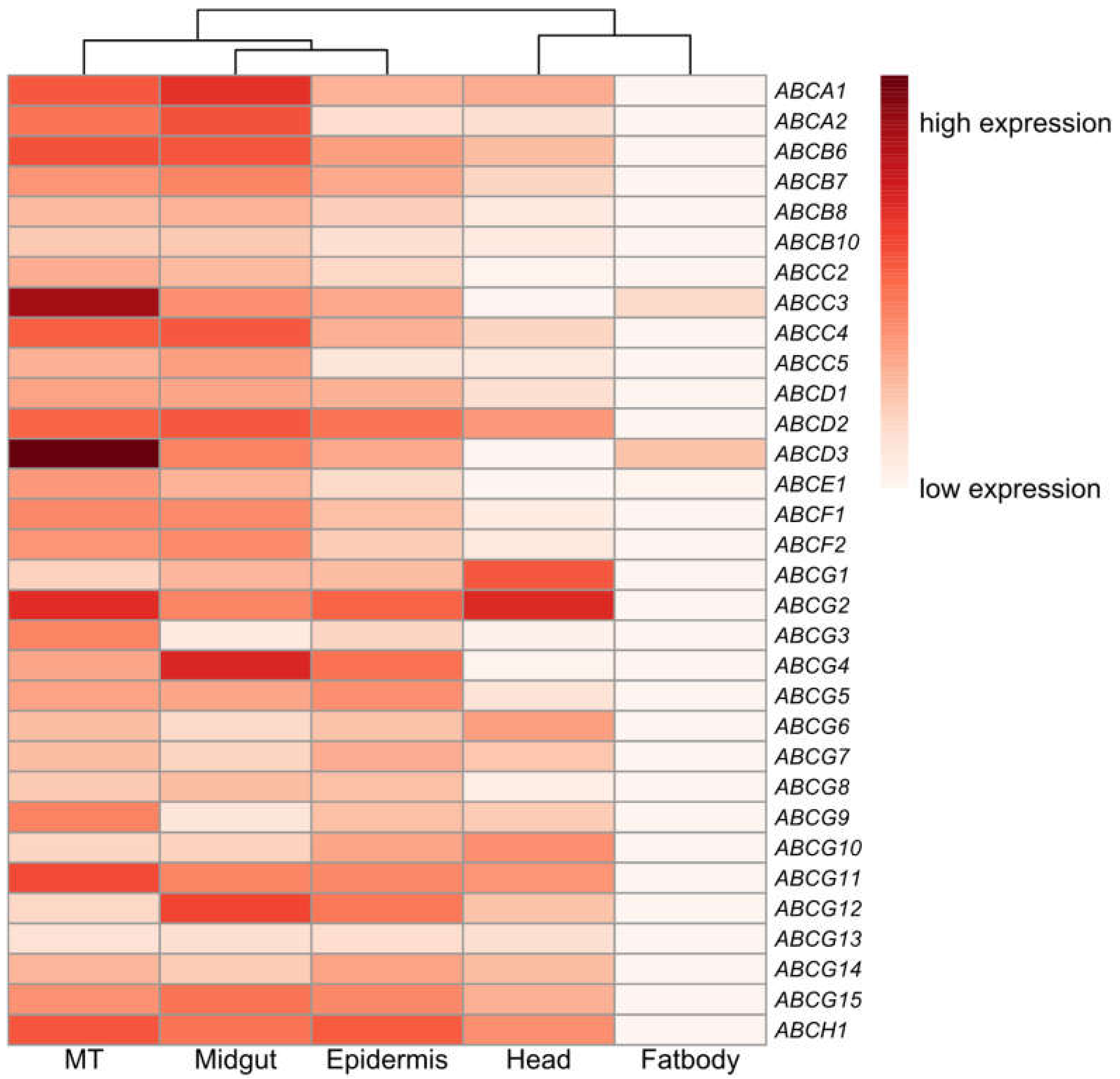 Insects 11 00280 g003