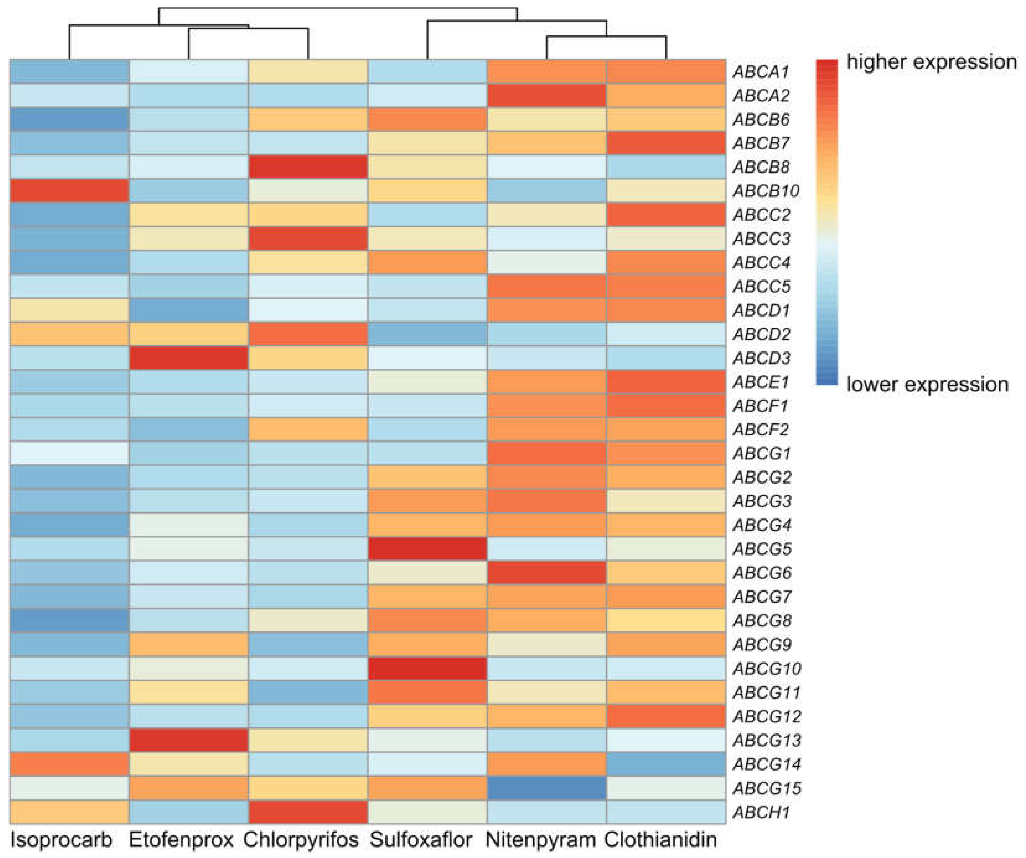Insects 11 00280 g004