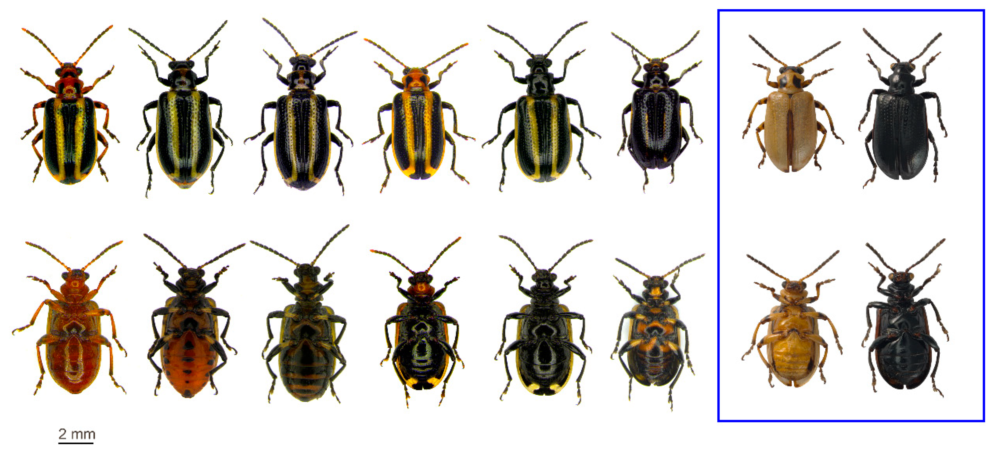 Insects 11 00295 g002 Insects 11 00295 g002