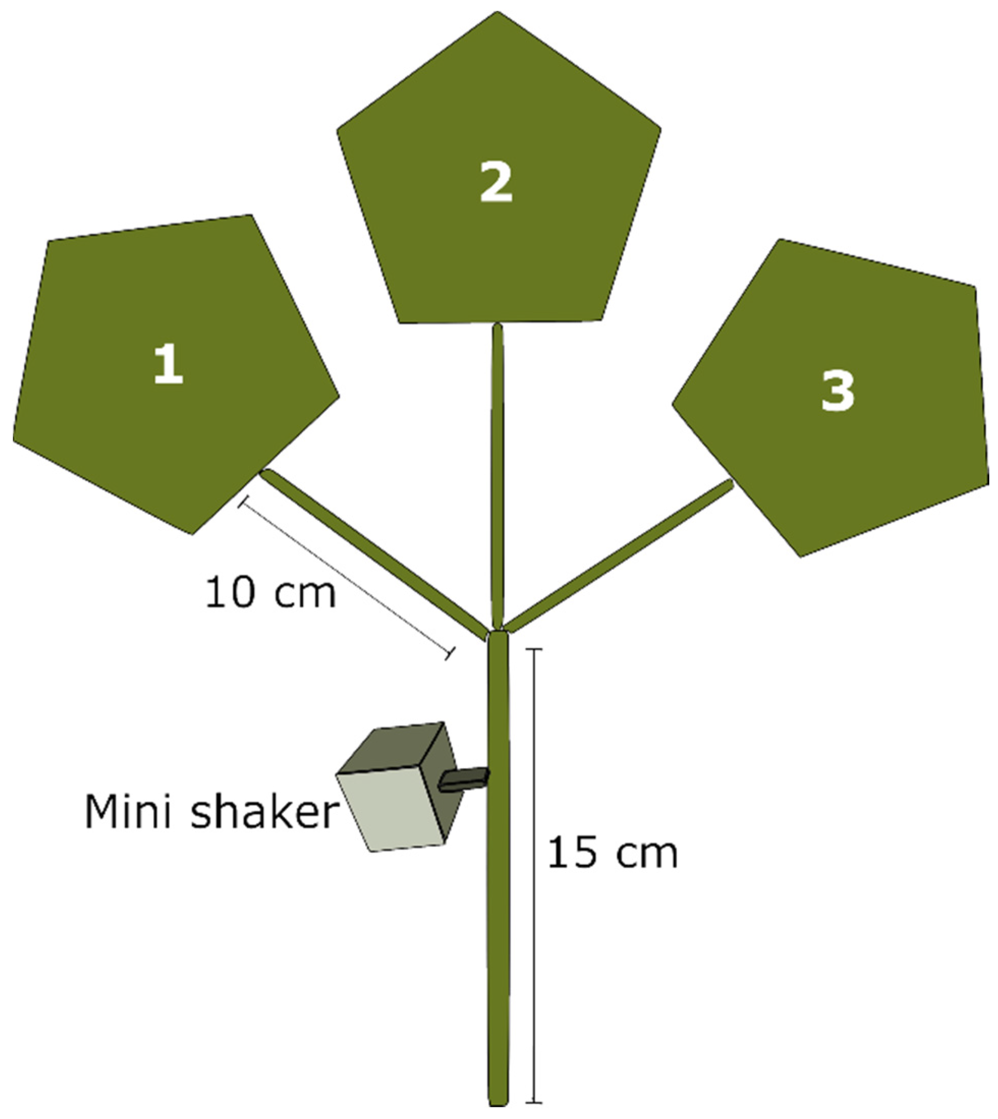 Insects 11 00299 g001