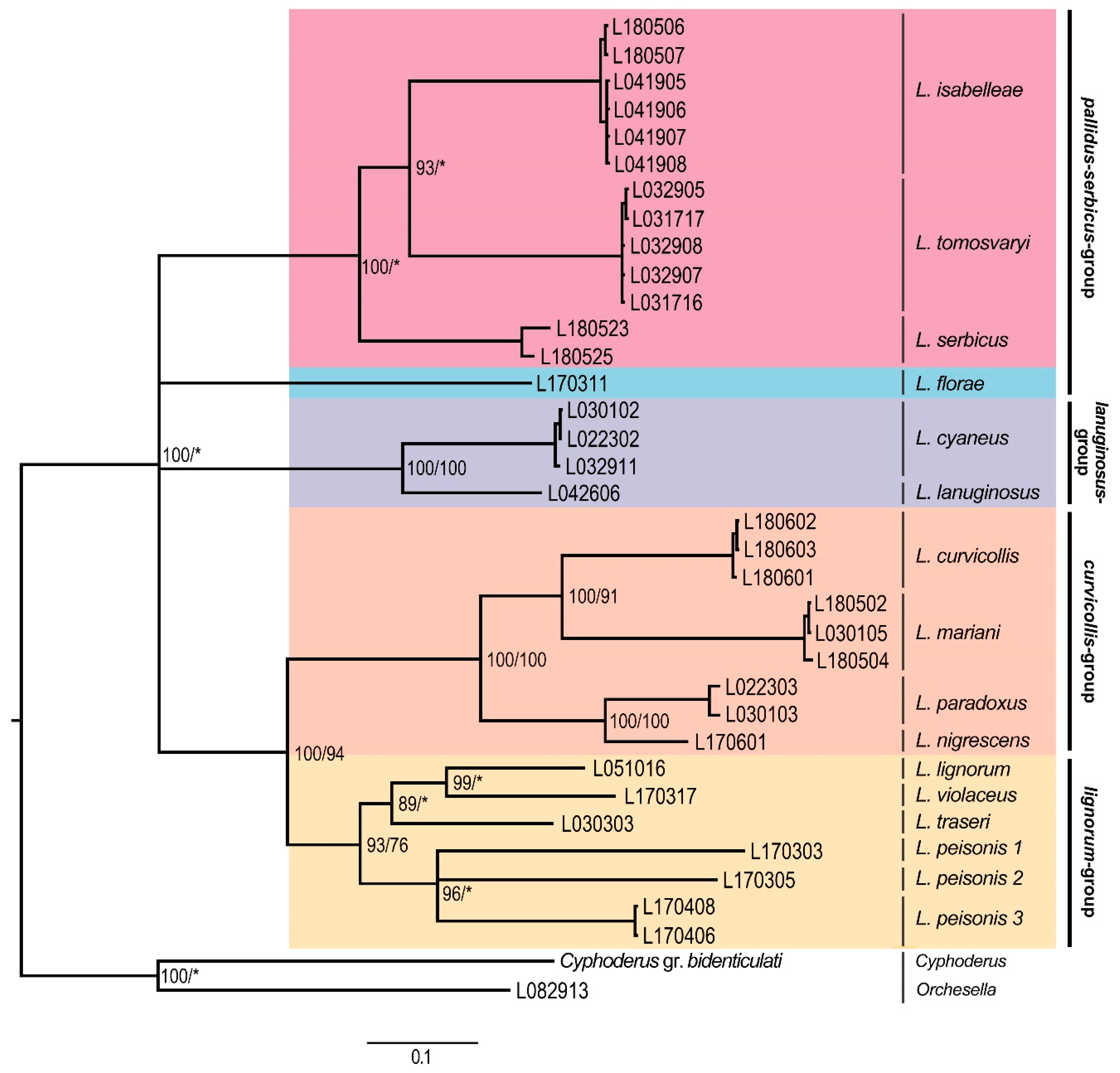 Insects 11 00302 g001