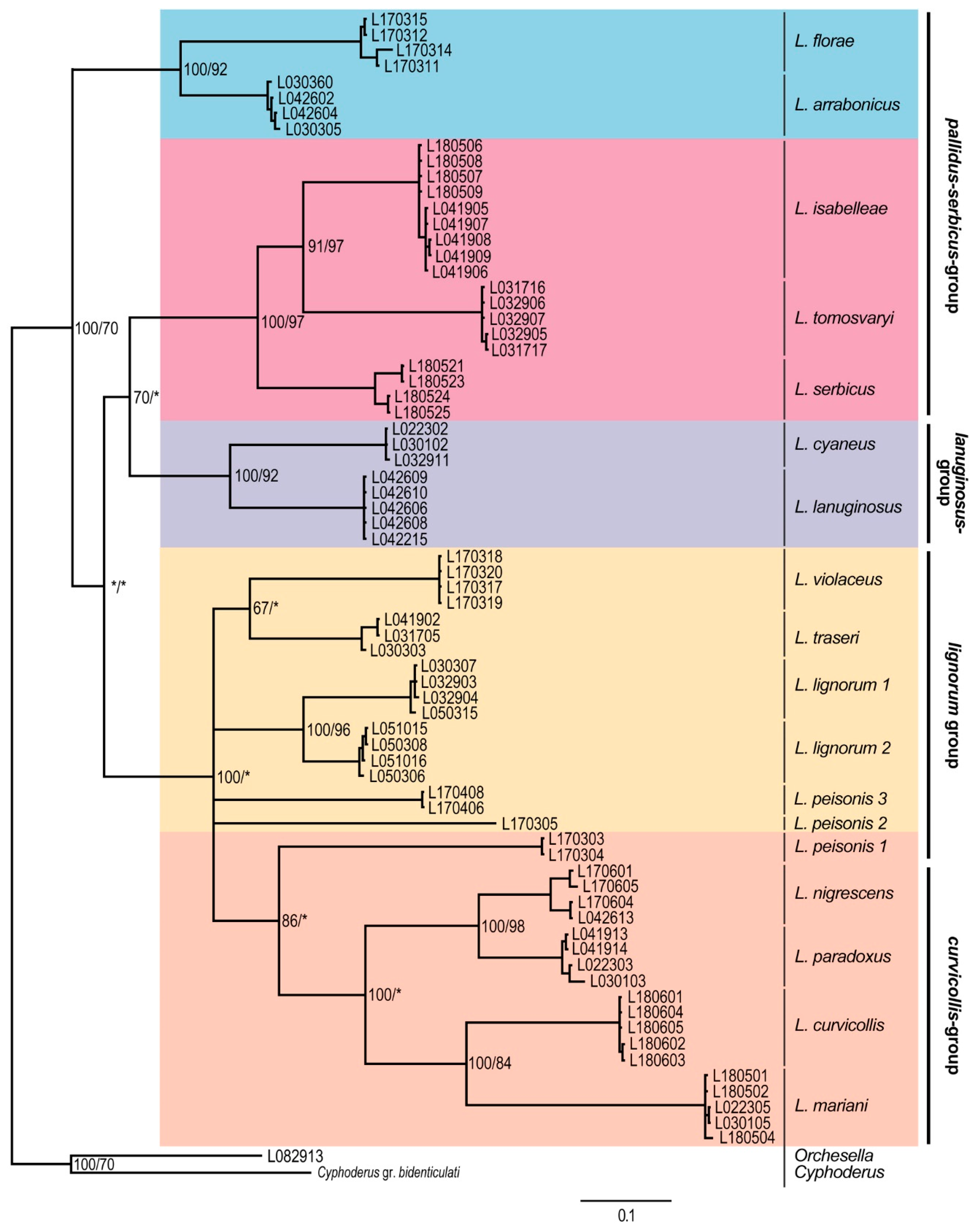 Insects 11 00302 g005