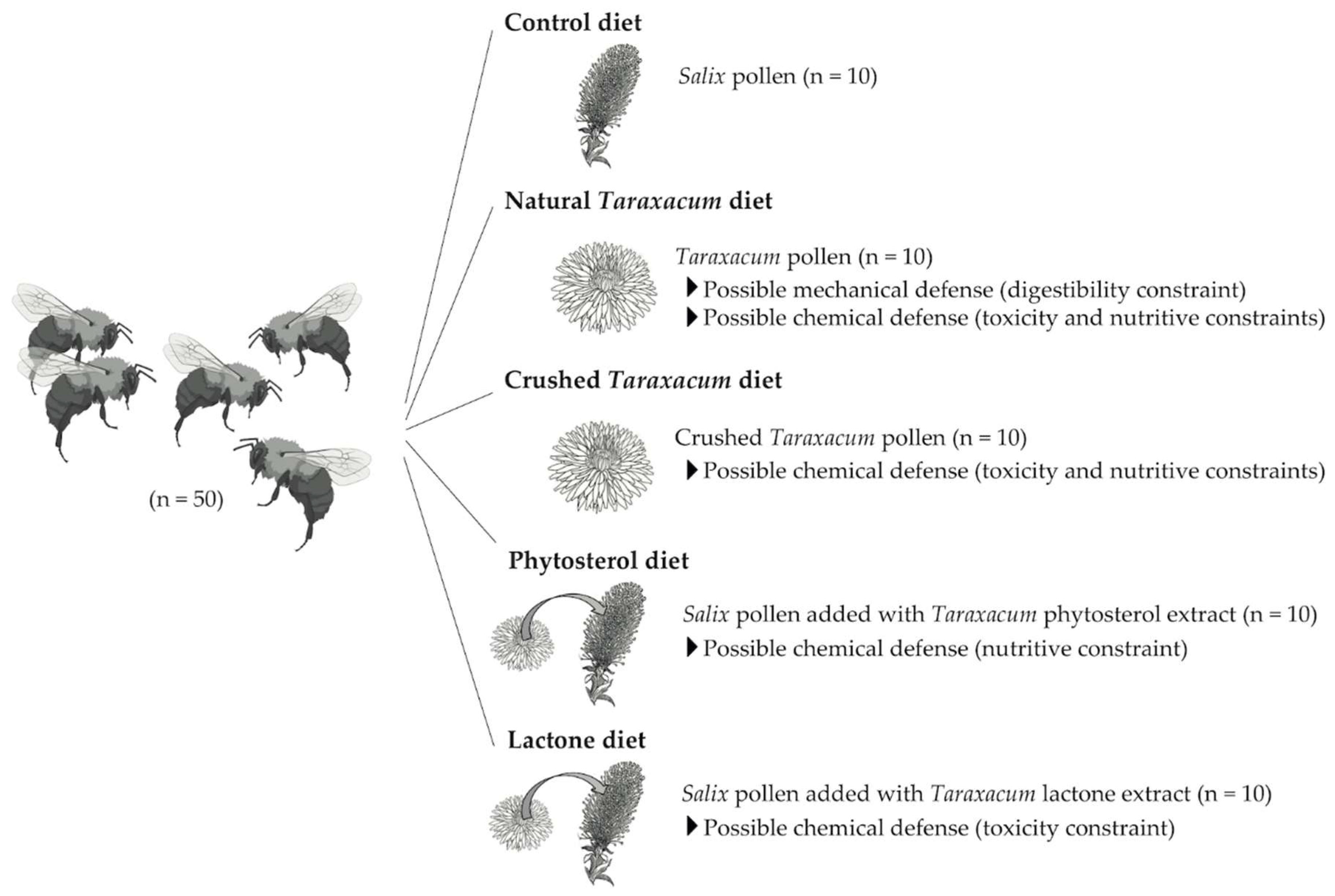 Insects 11 00304 g001