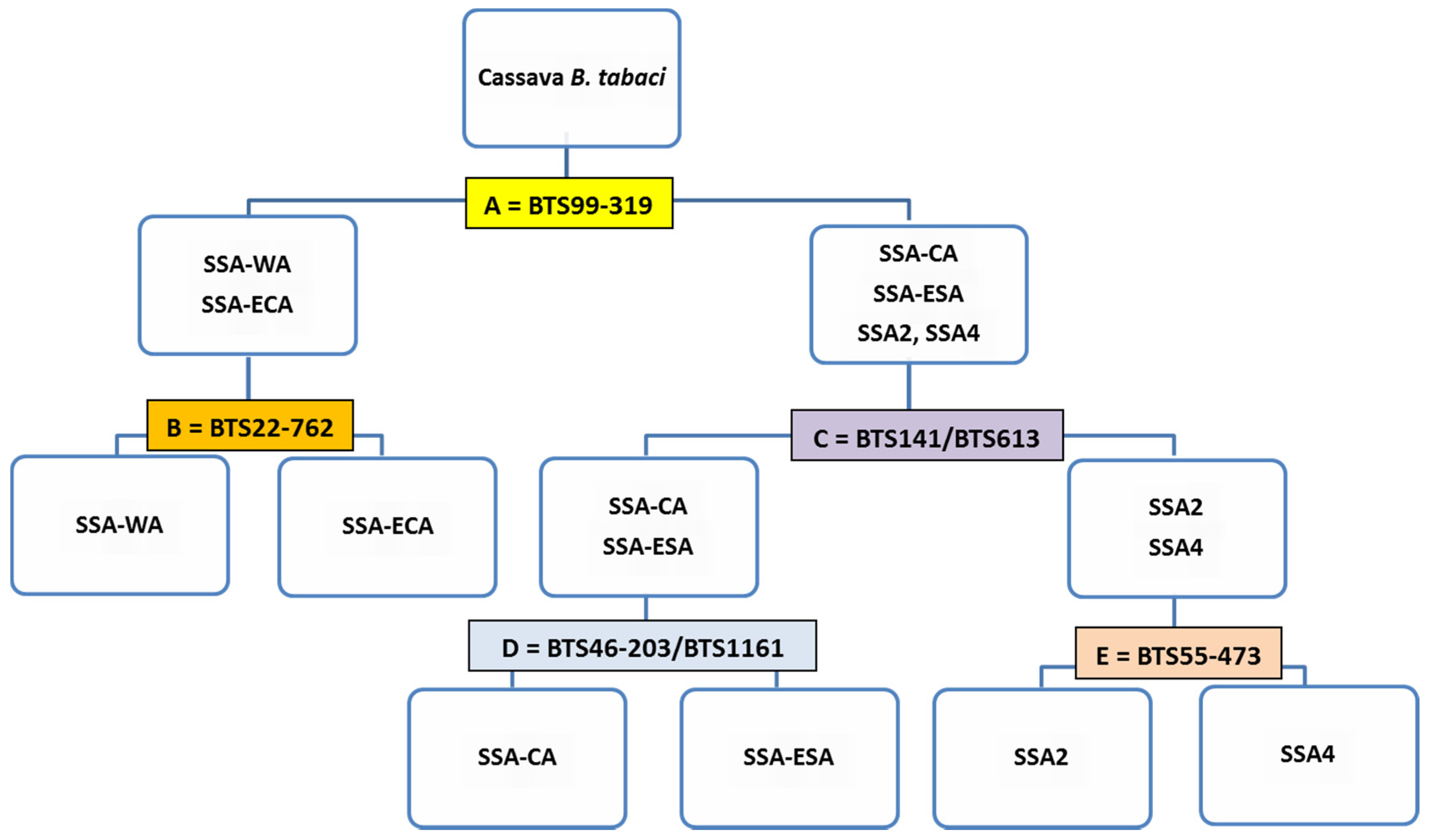 Insects 11 00305 g002