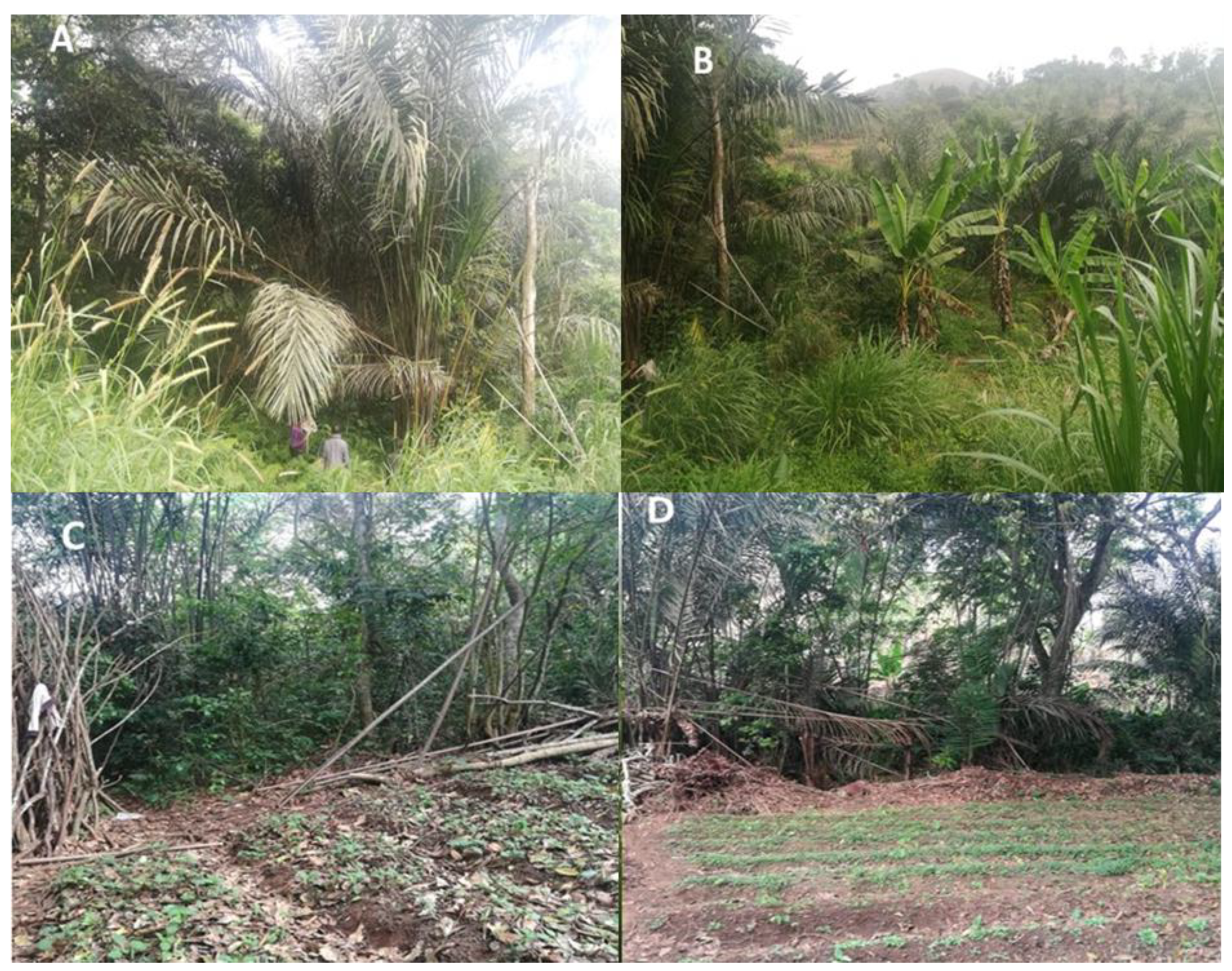 Insects 11 00312 g002