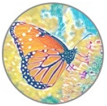 Insects 11 00315 i004 Insects 11 00315 i004