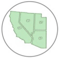 Insects 11 00315 i005 Insects 11 00315 i005