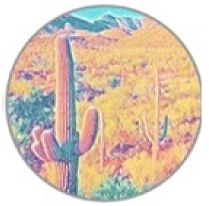 Insects 11 00315 i007 Insects 11 00315 i007