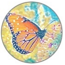 Insects 11 00315 i009 Insects 11 00315 i009