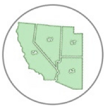 Insects 11 00315 i010 Insects 11 00315 i010