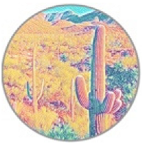 Insects 11 00315 i012 Insects 11 00315 i012