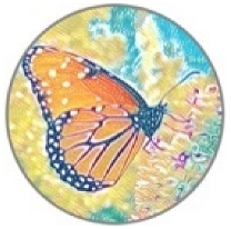 Insects 11 00315 i014 Insects 11 00315 i014