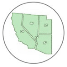 Insects 11 00315 i015 Insects 11 00315 i015