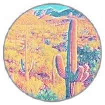 Insects 11 00315 i017 Insects 11 00315 i017