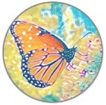 Insects 11 00315 i019 Insects 11 00315 i019