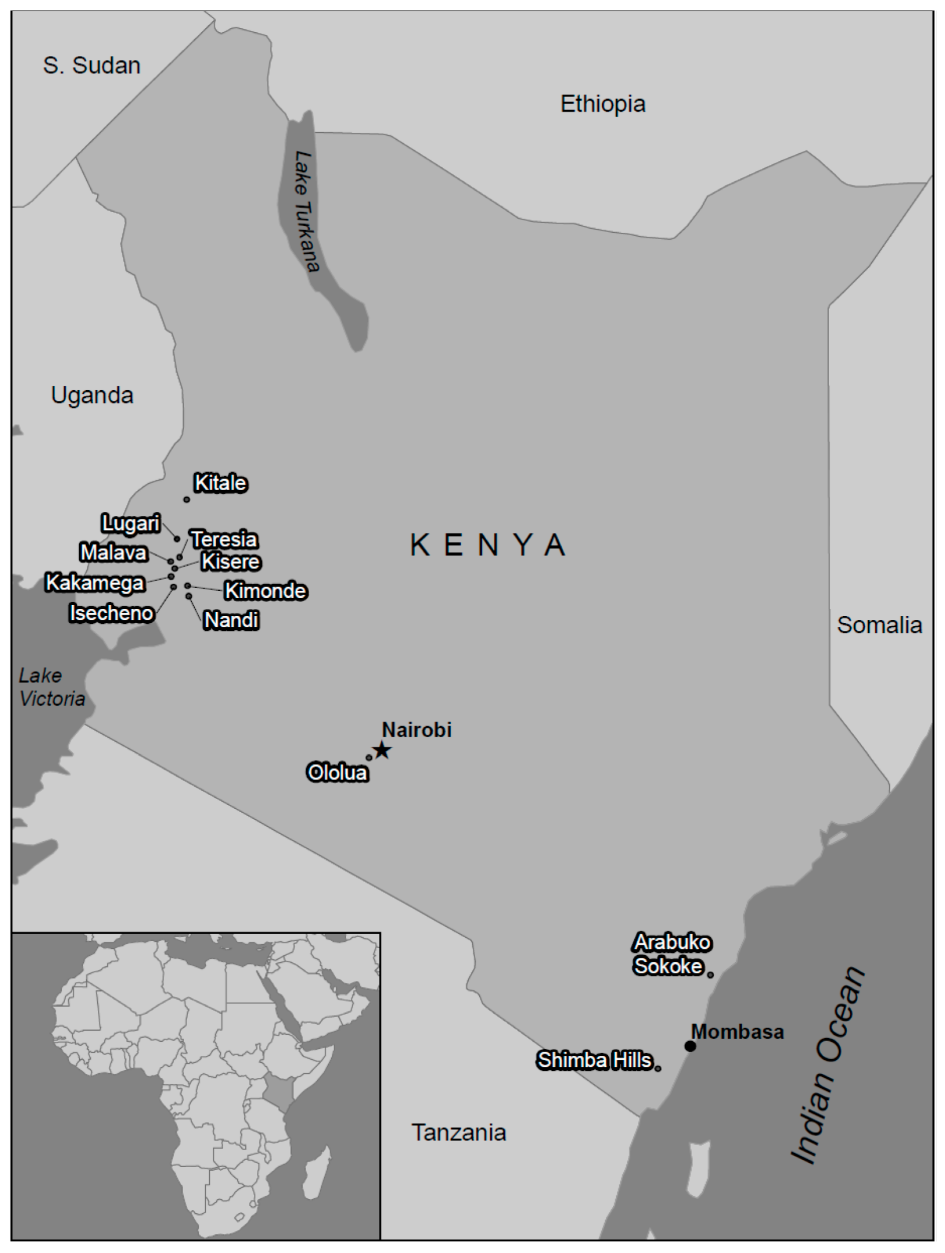 Insects 11 00342 g001