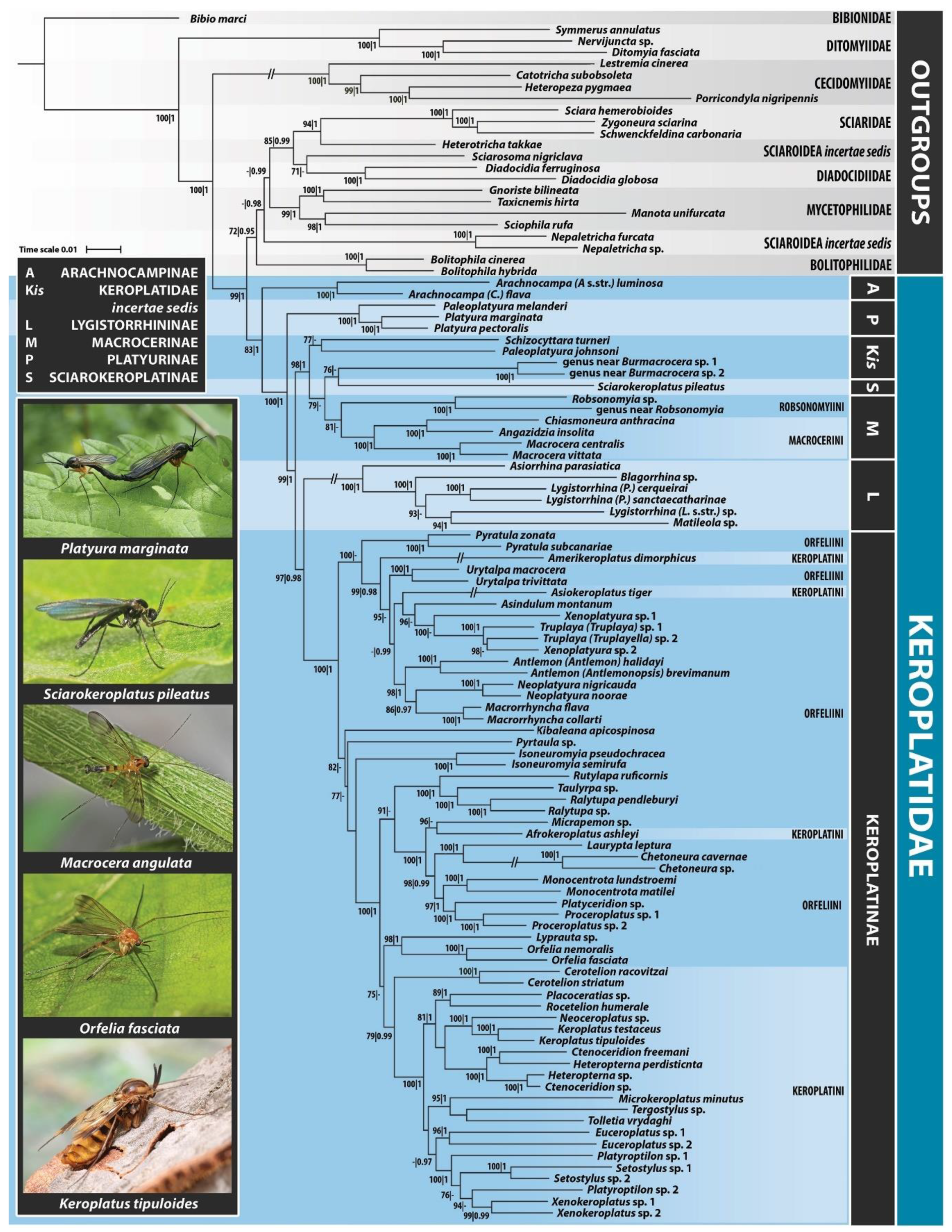 Insects 11 00348 g003