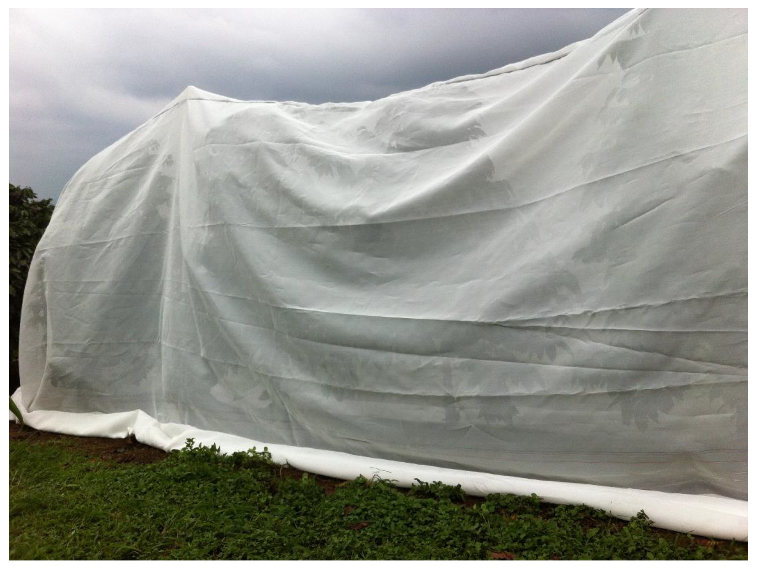 Insects 11 00364 g001