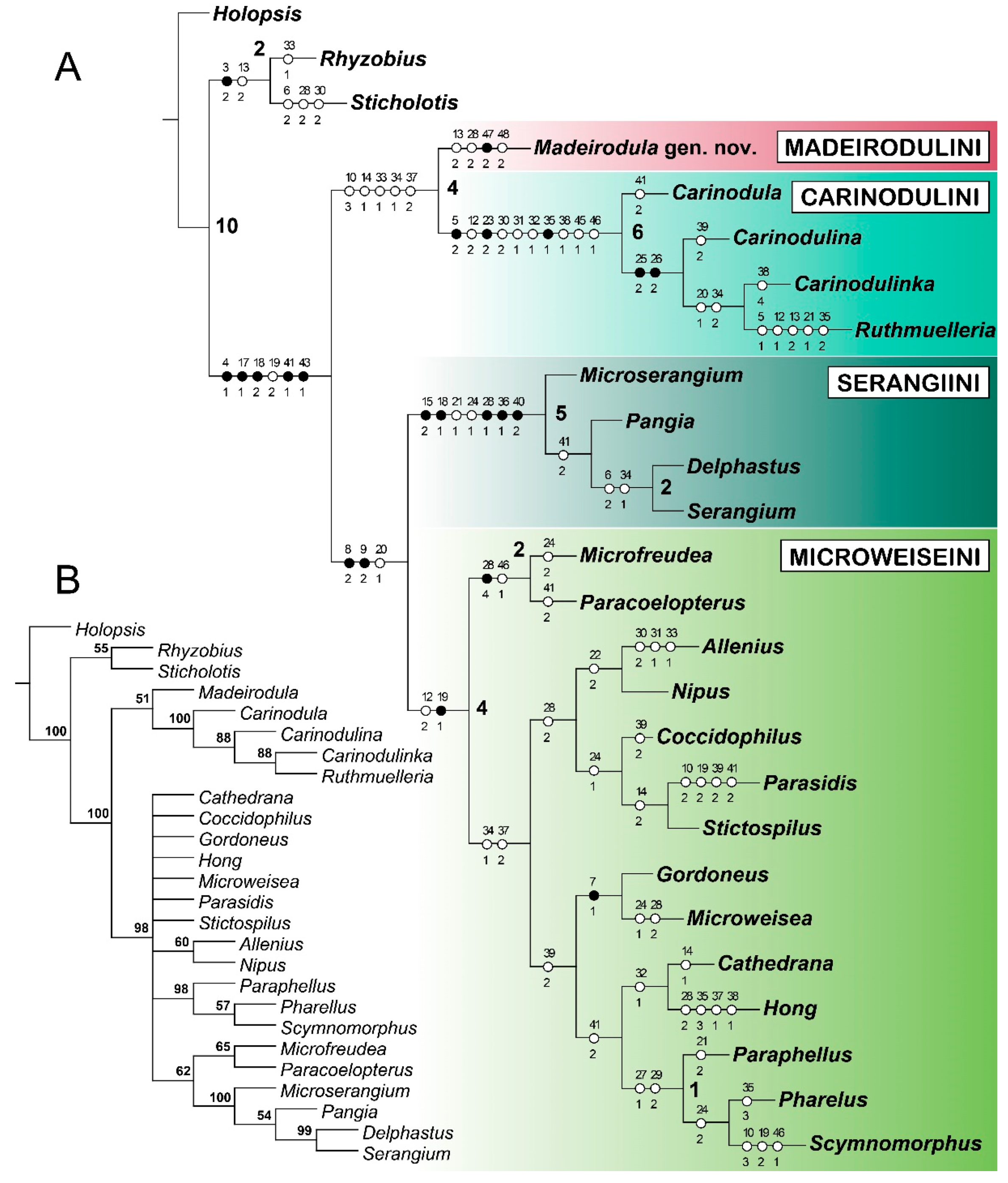 Insects 11 00367 g001