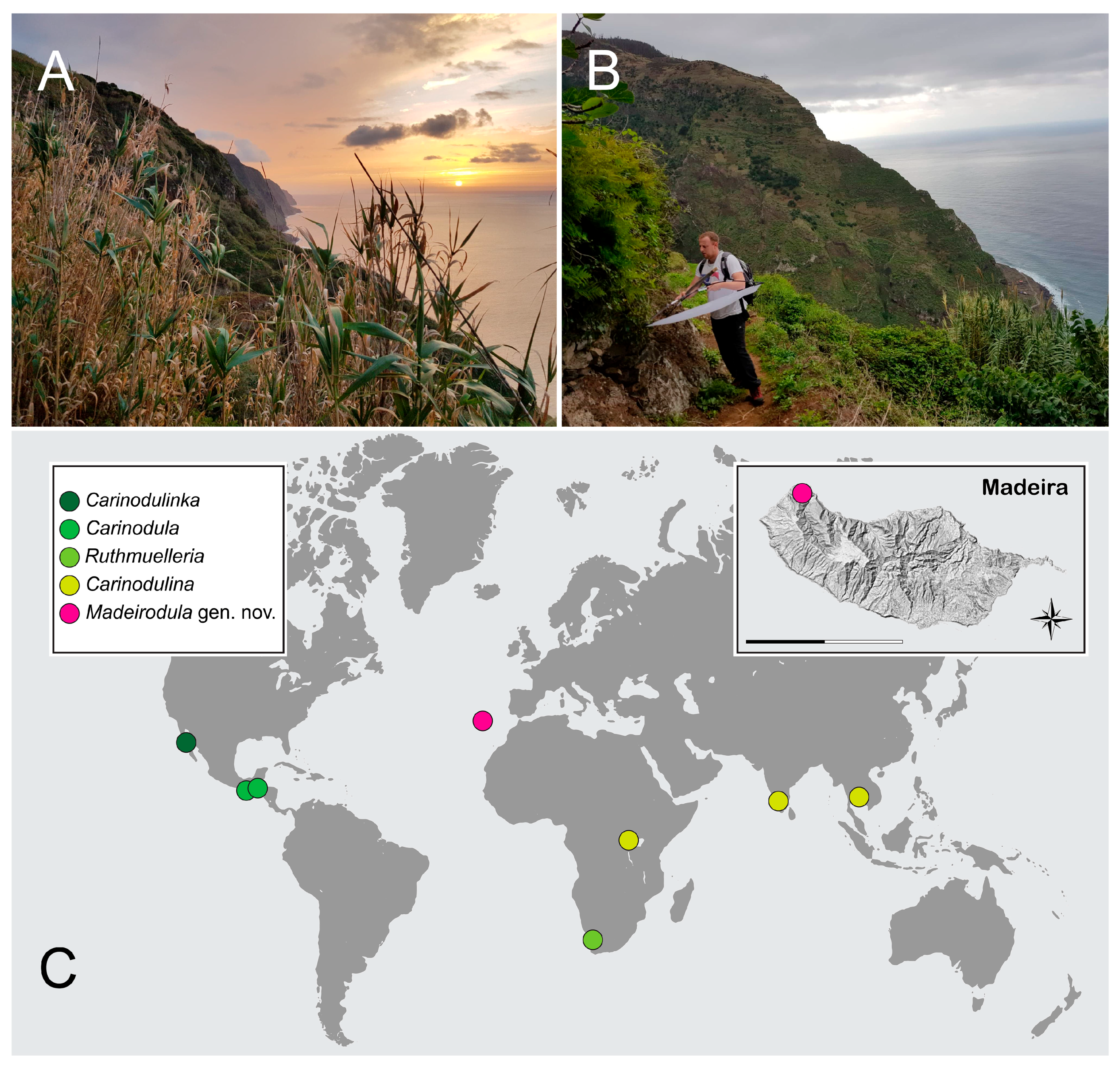 Insects 11 00367 g005