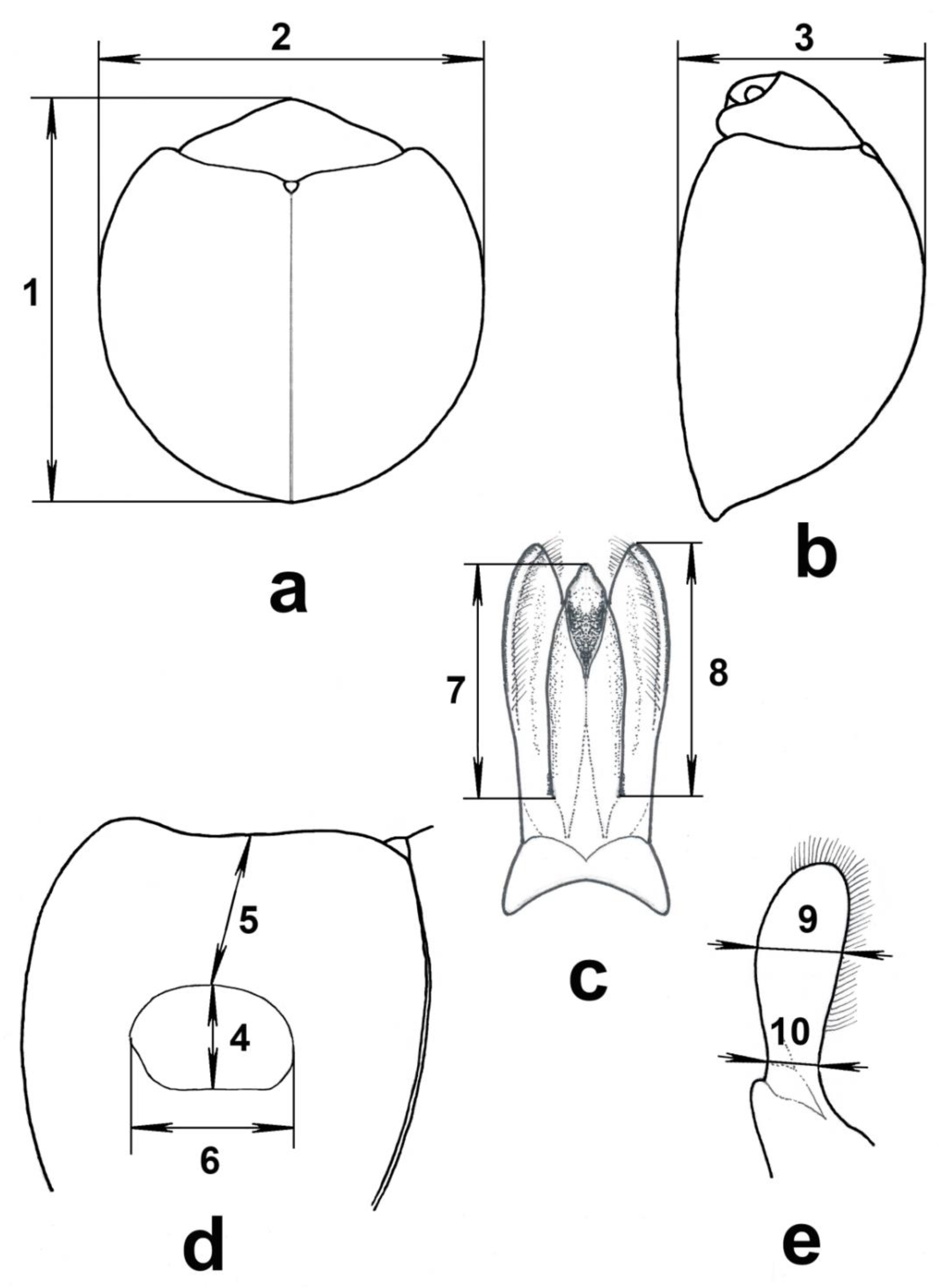 Insects 11 00368 g001