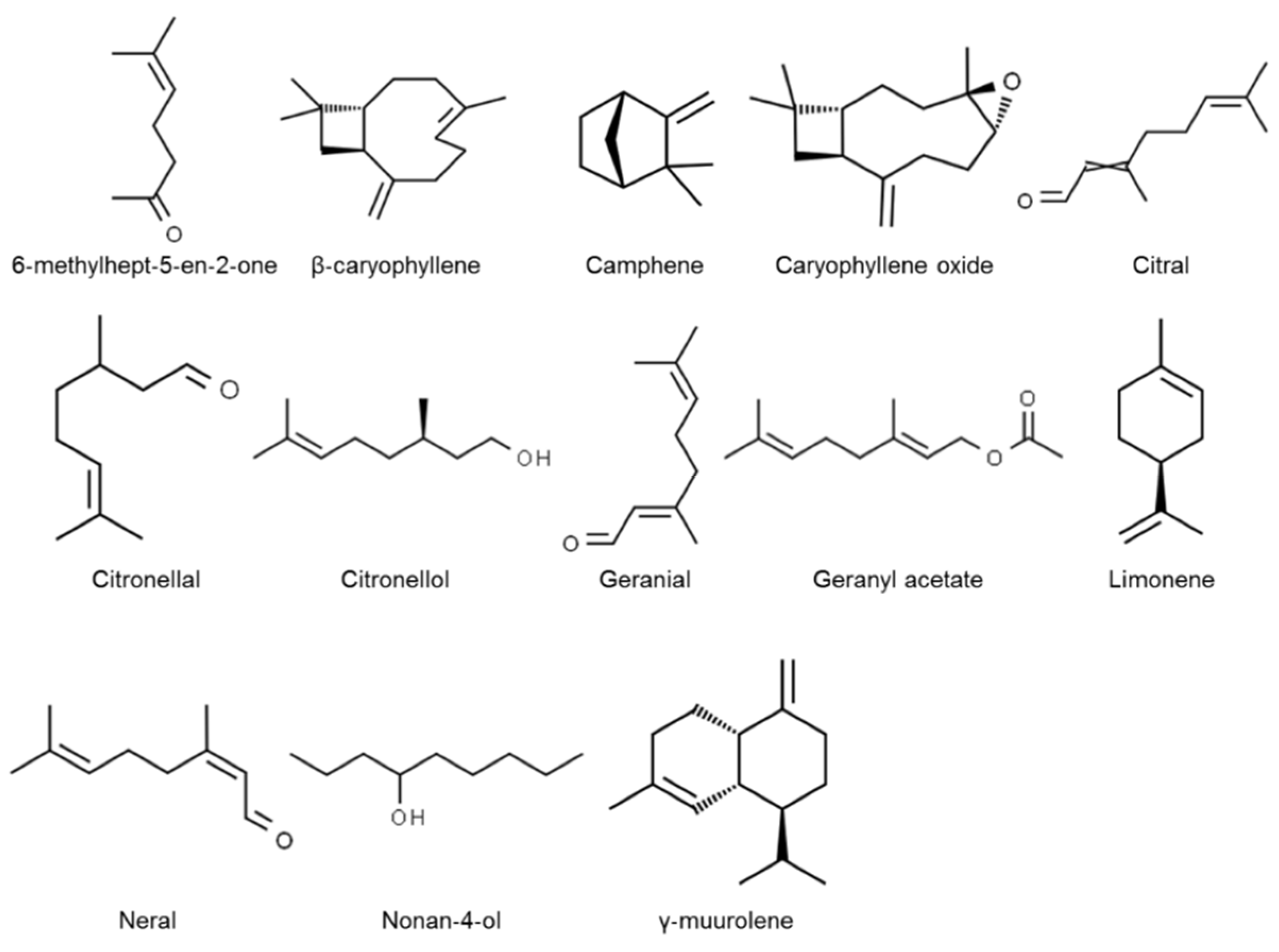 Insects 11 00379 g002