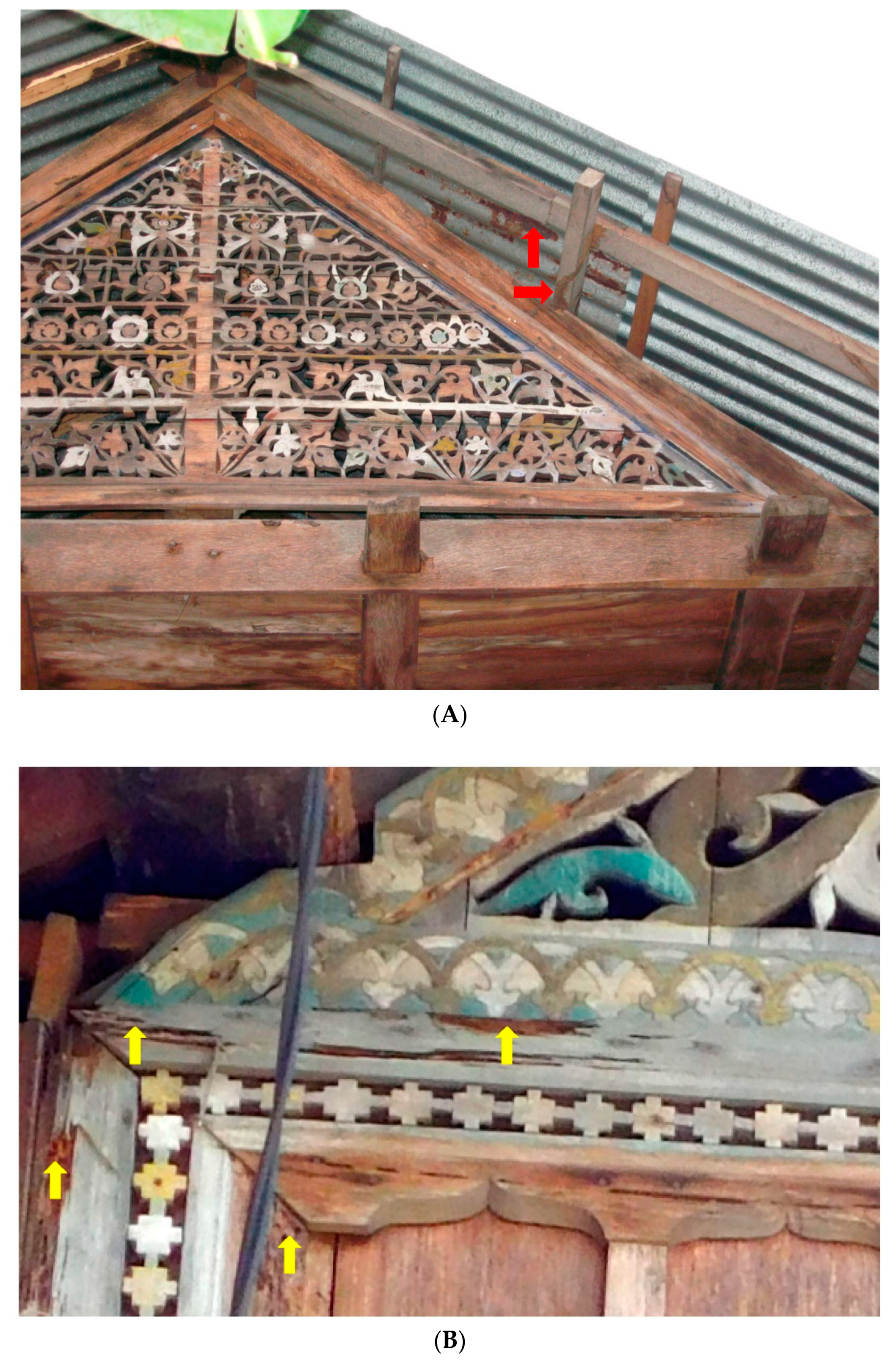Insects 11 00385 g007 Insects 11 00385 g007