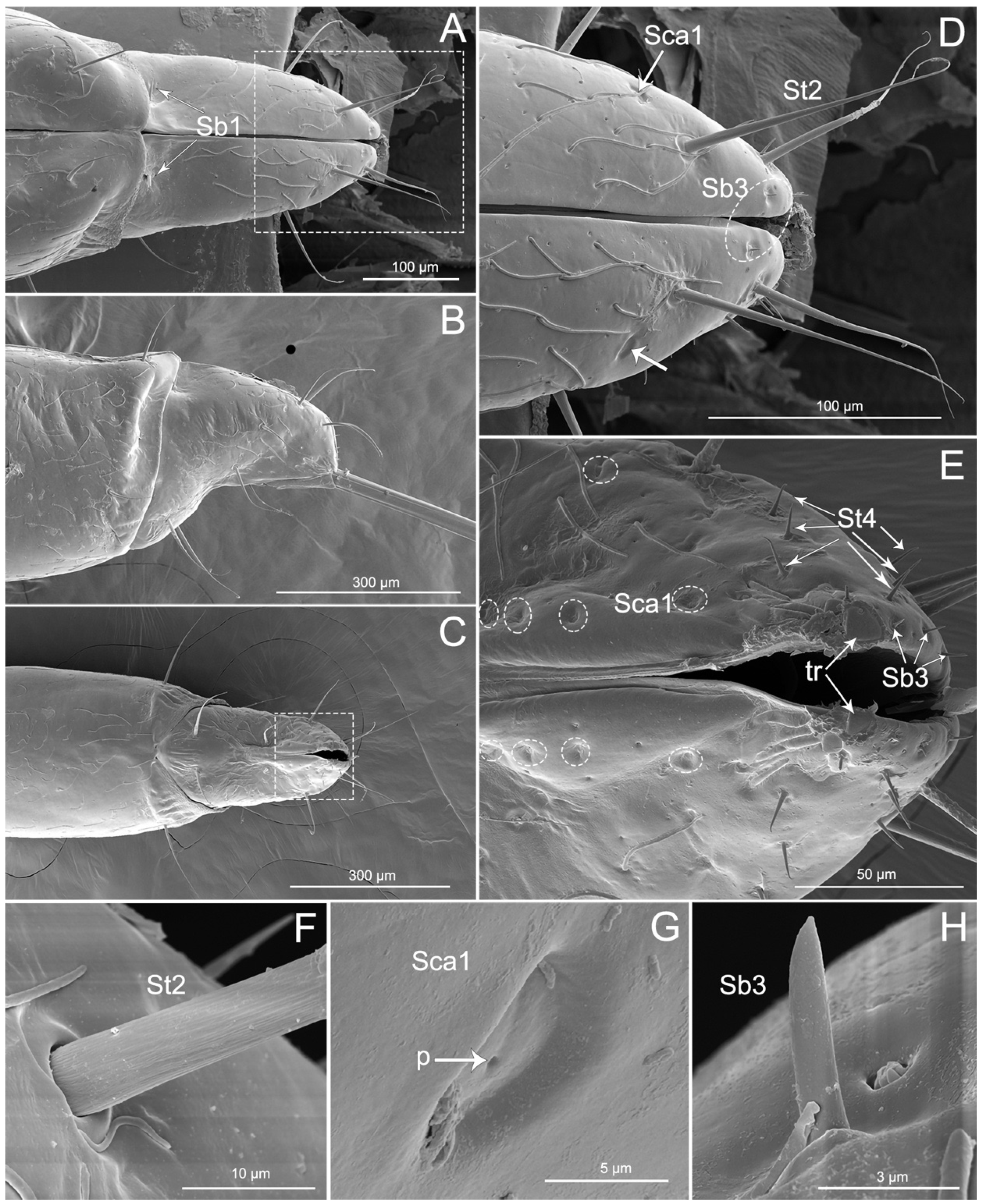 Insects 11 00386 g005