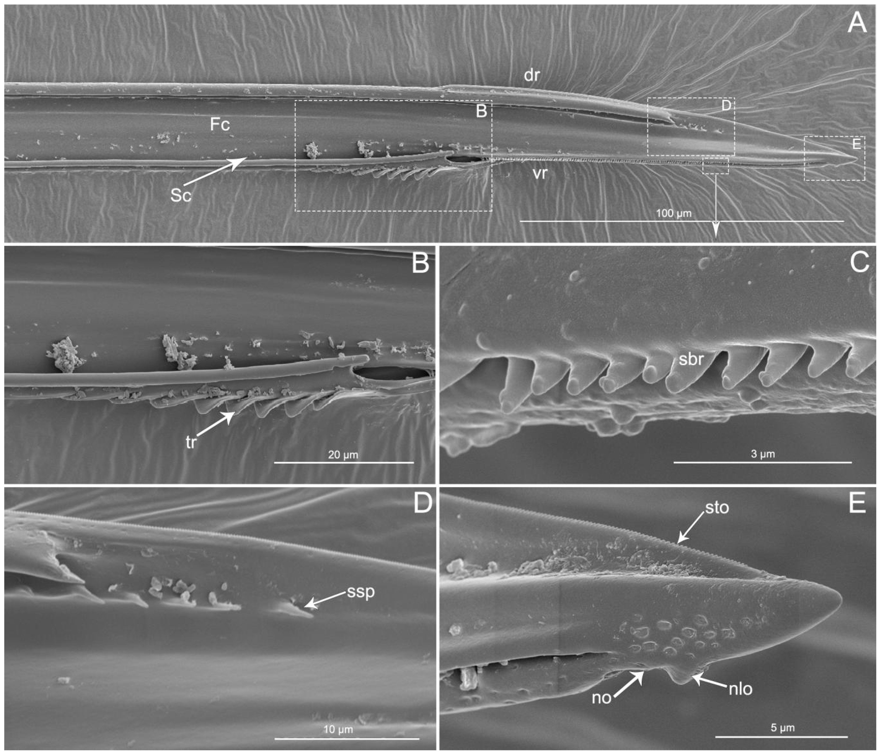 Insects 11 00386 g009