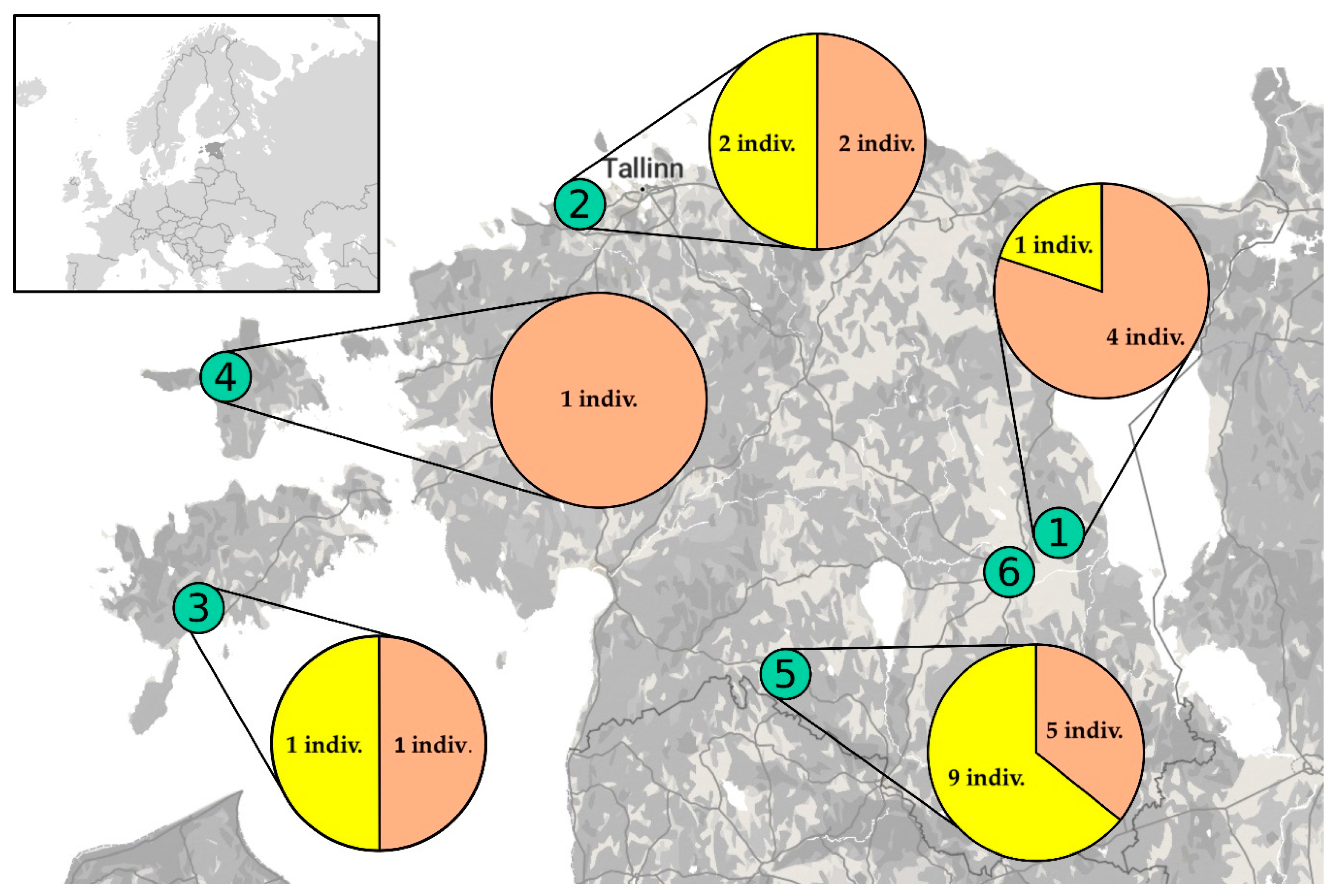 Insects 11 00397 g001