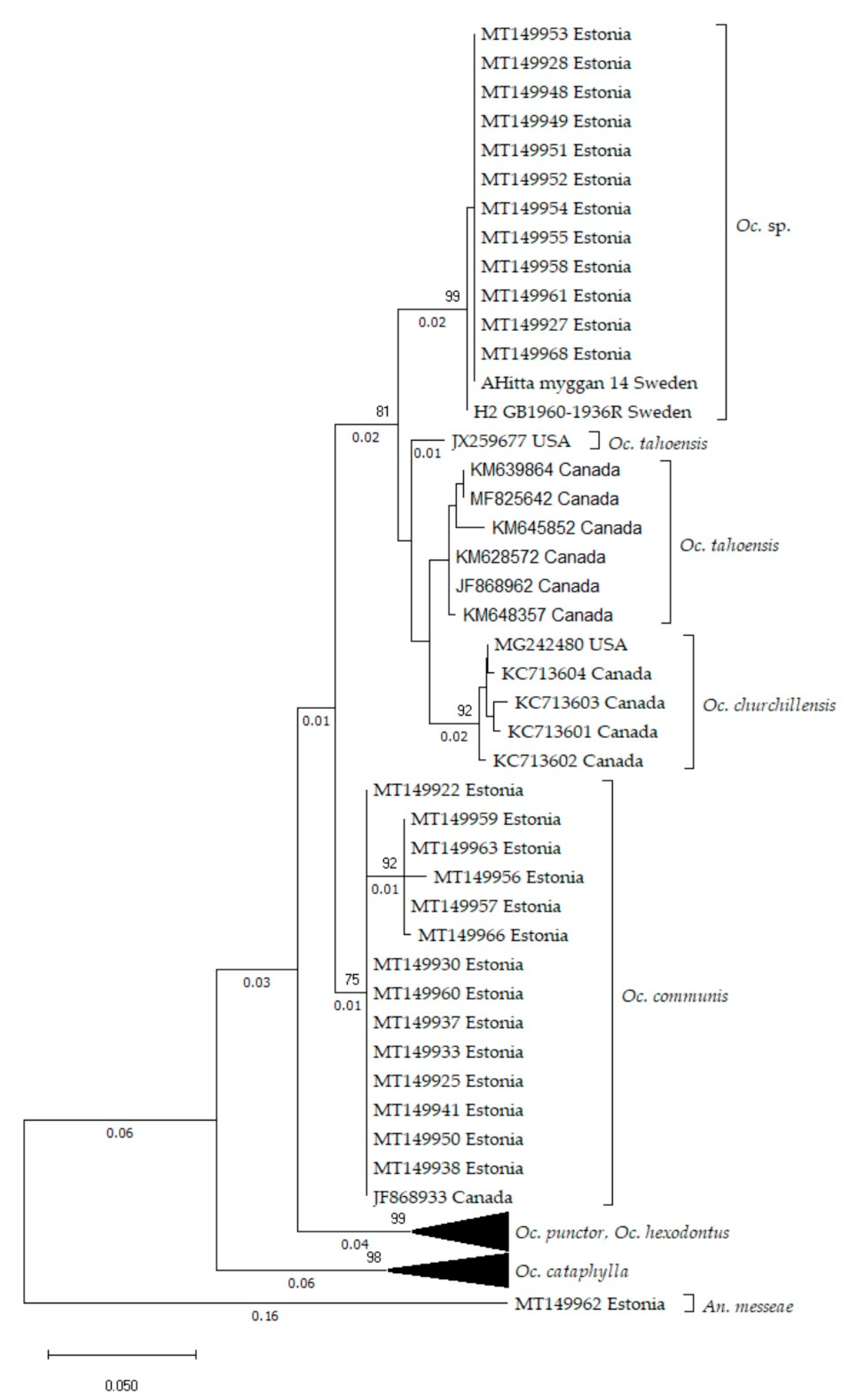 Insects 11 00397 g002
