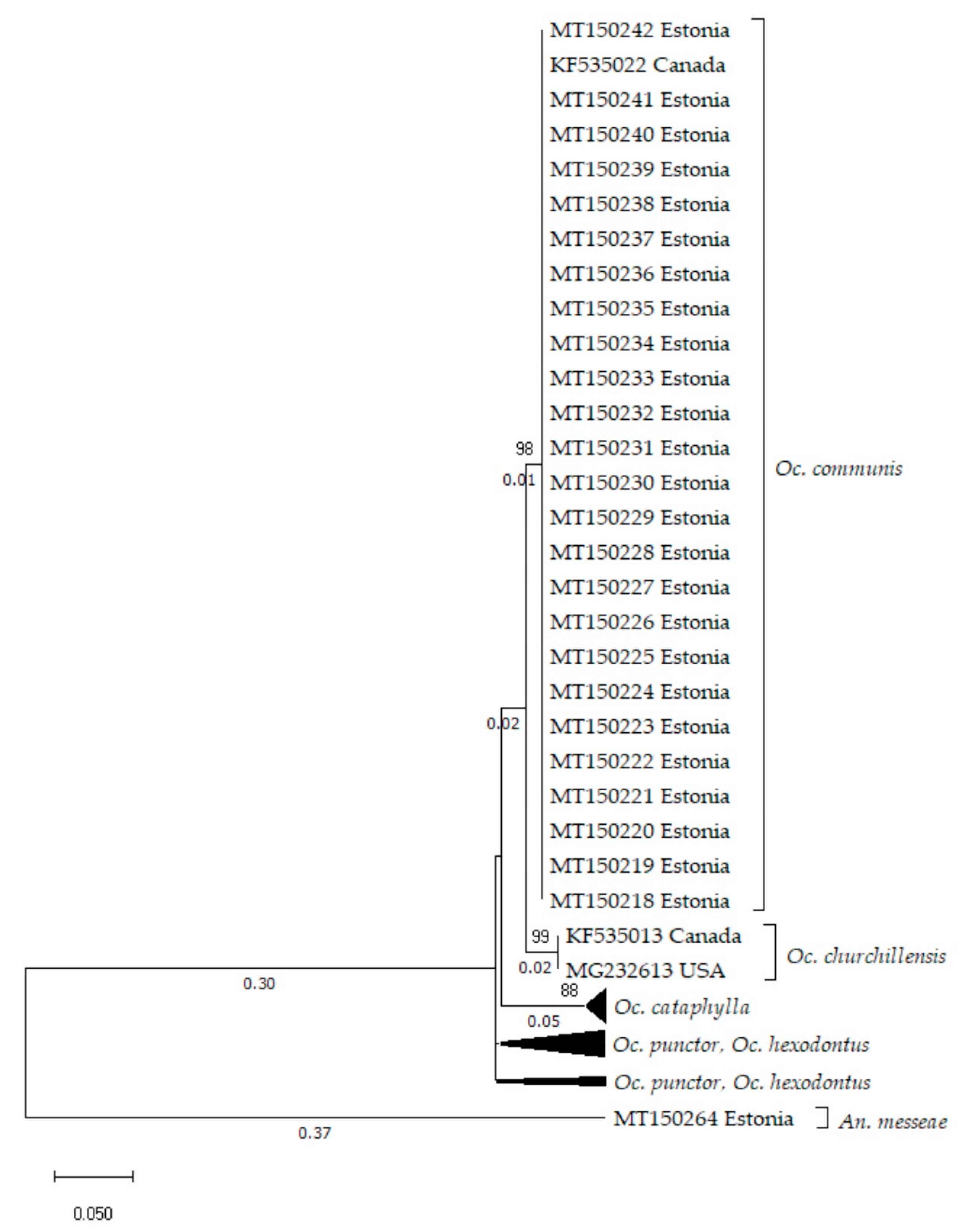 Insects 11 00397 g004