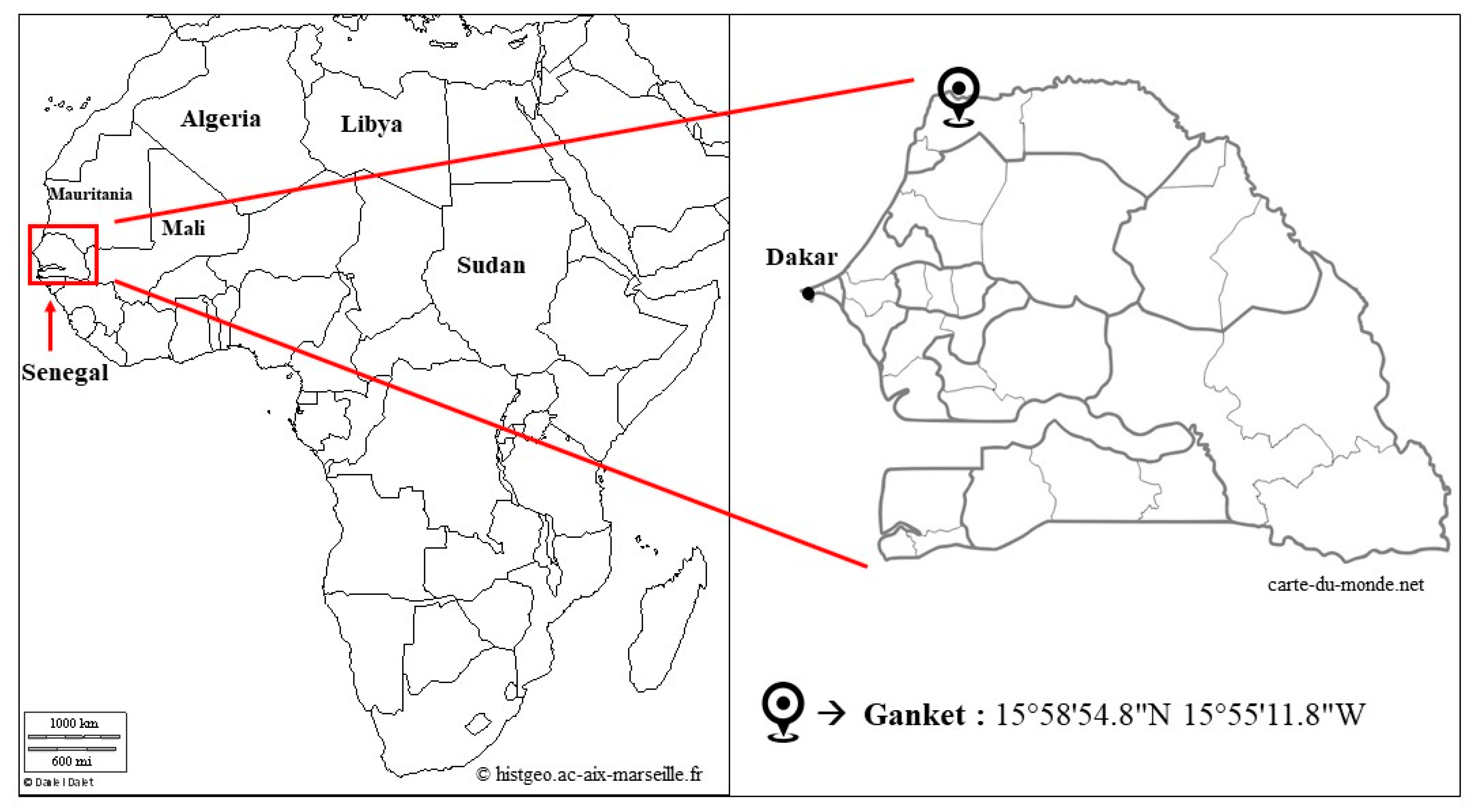 Insects 11 00403 g001 Insects 11 00403 g001