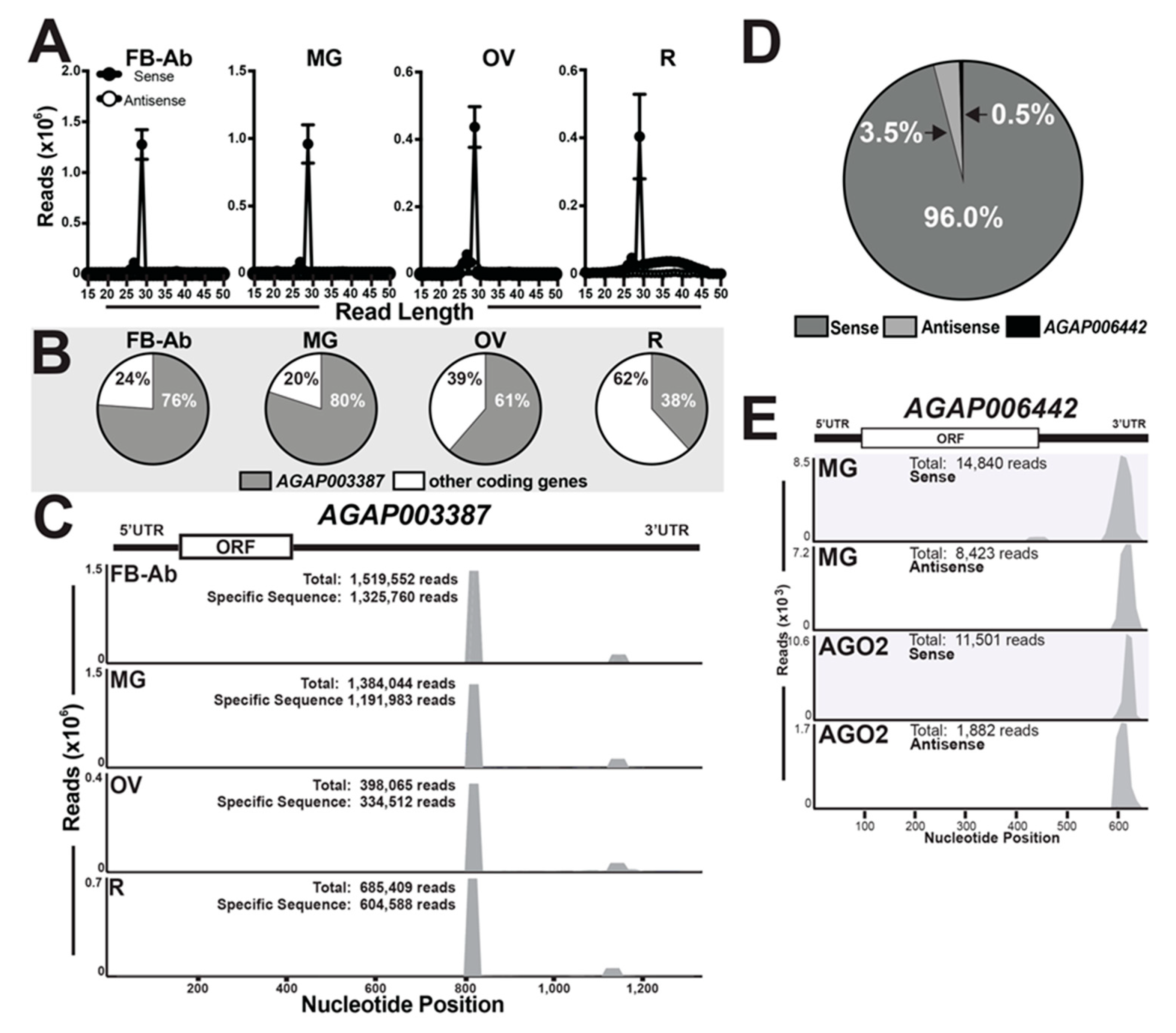 Insects 11 00406 g005 Insects 11 00406 g005