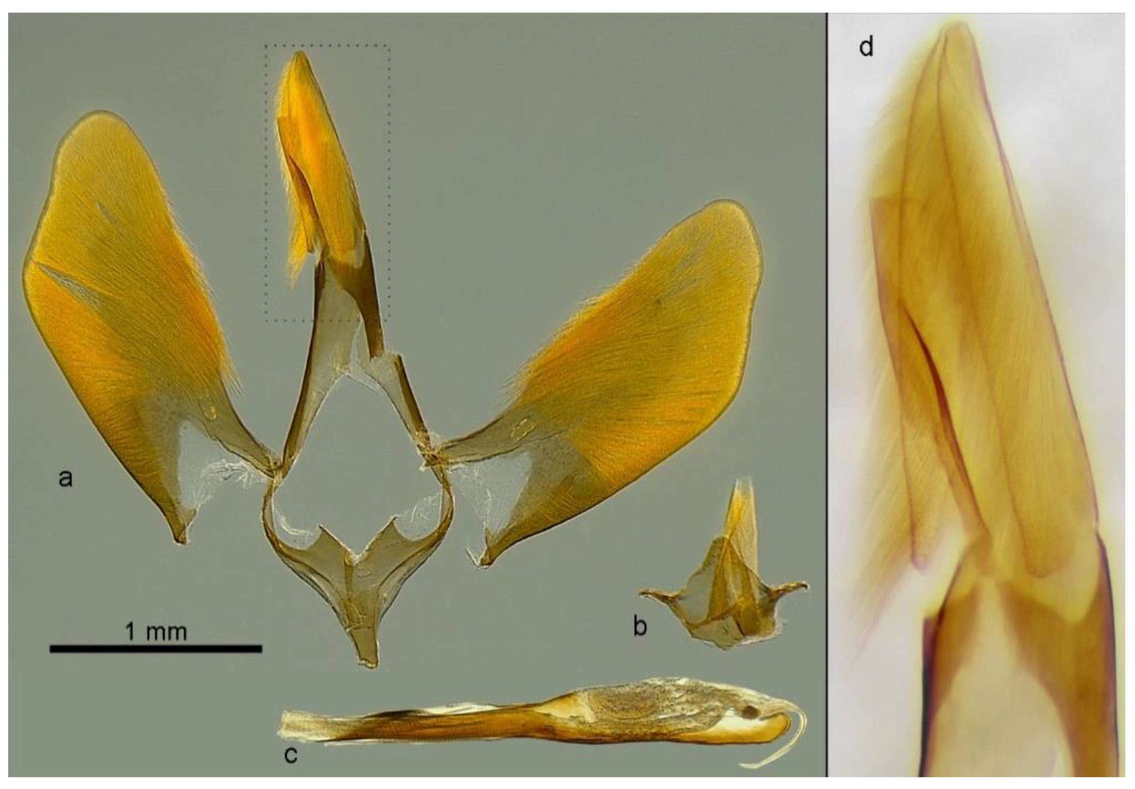 Insects 11 00425 g003