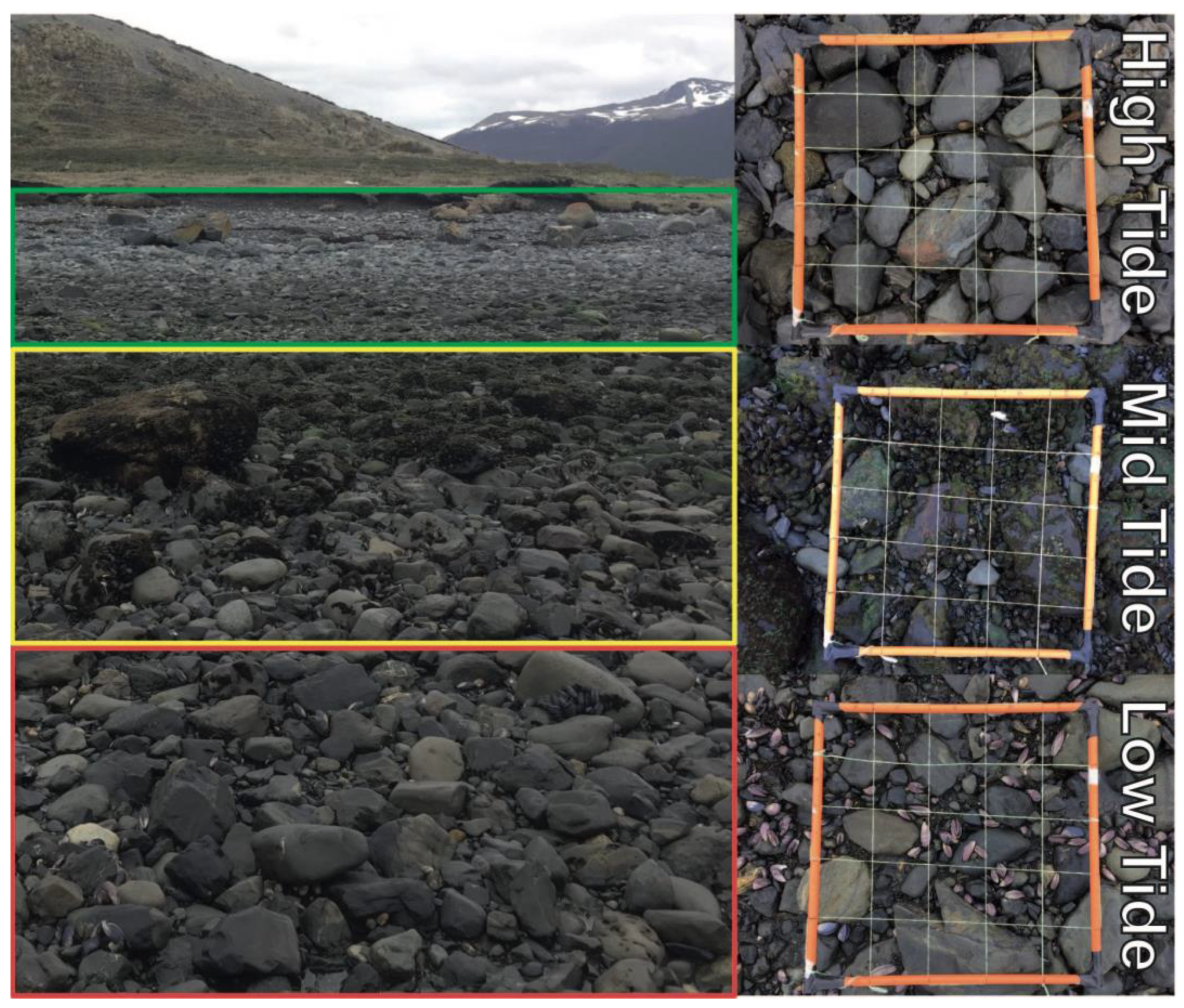 Insects 11 00442 g004