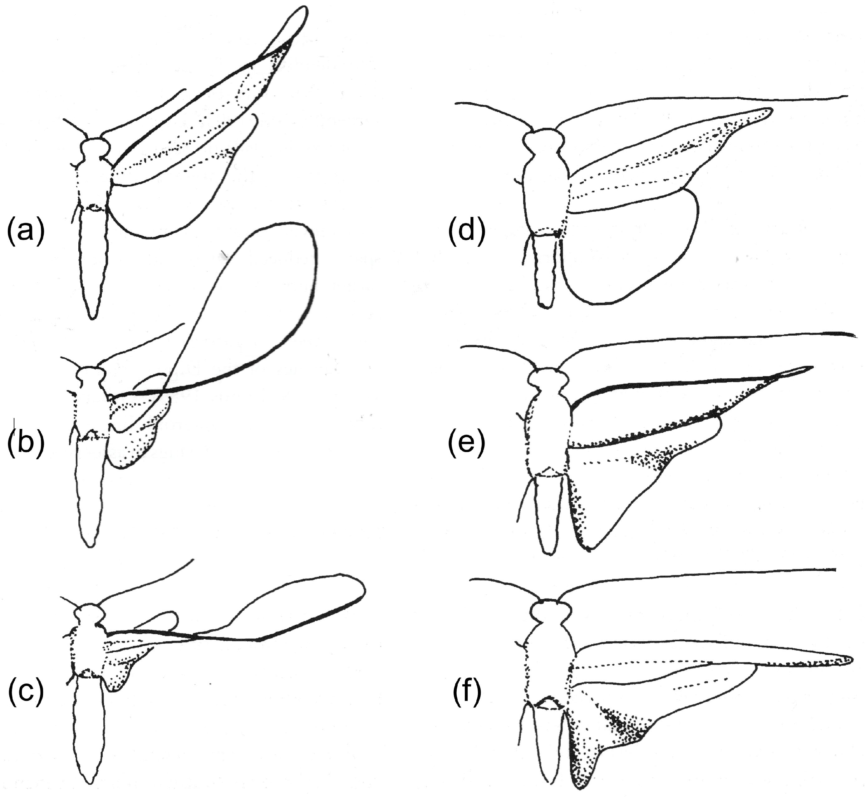 Insects 11 00446 g002