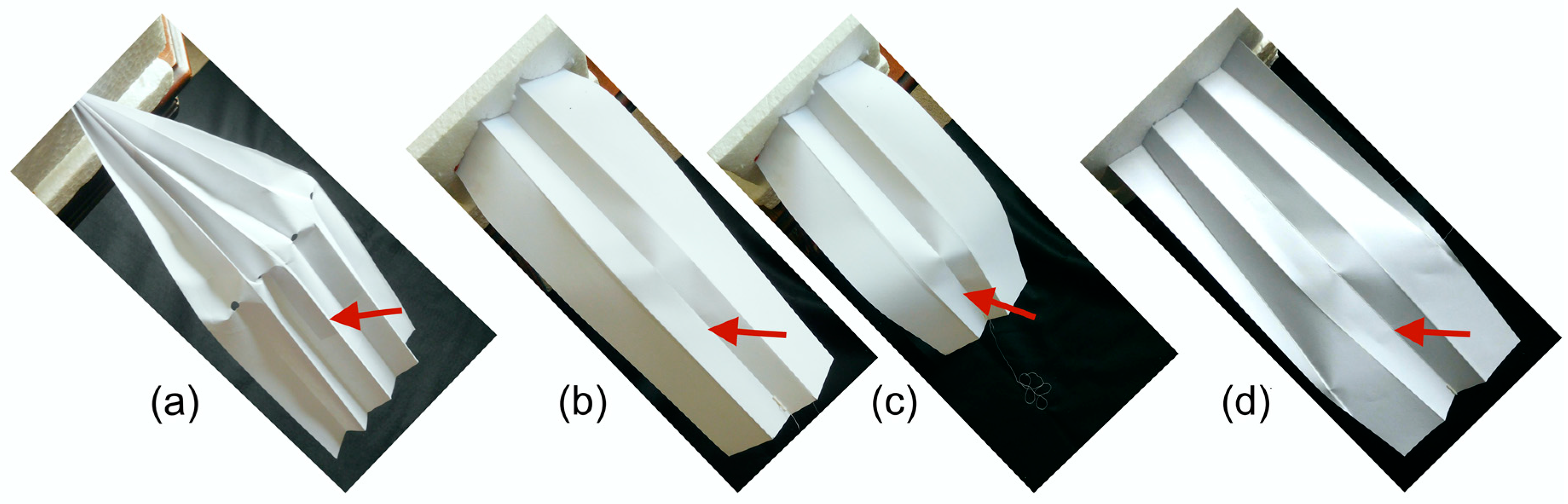 Insects 11 00446 g009