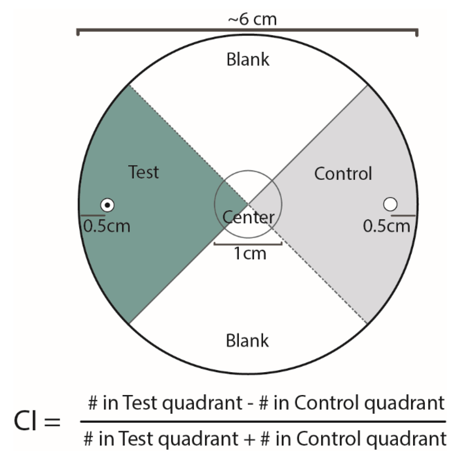 Insects 11 00457 g001