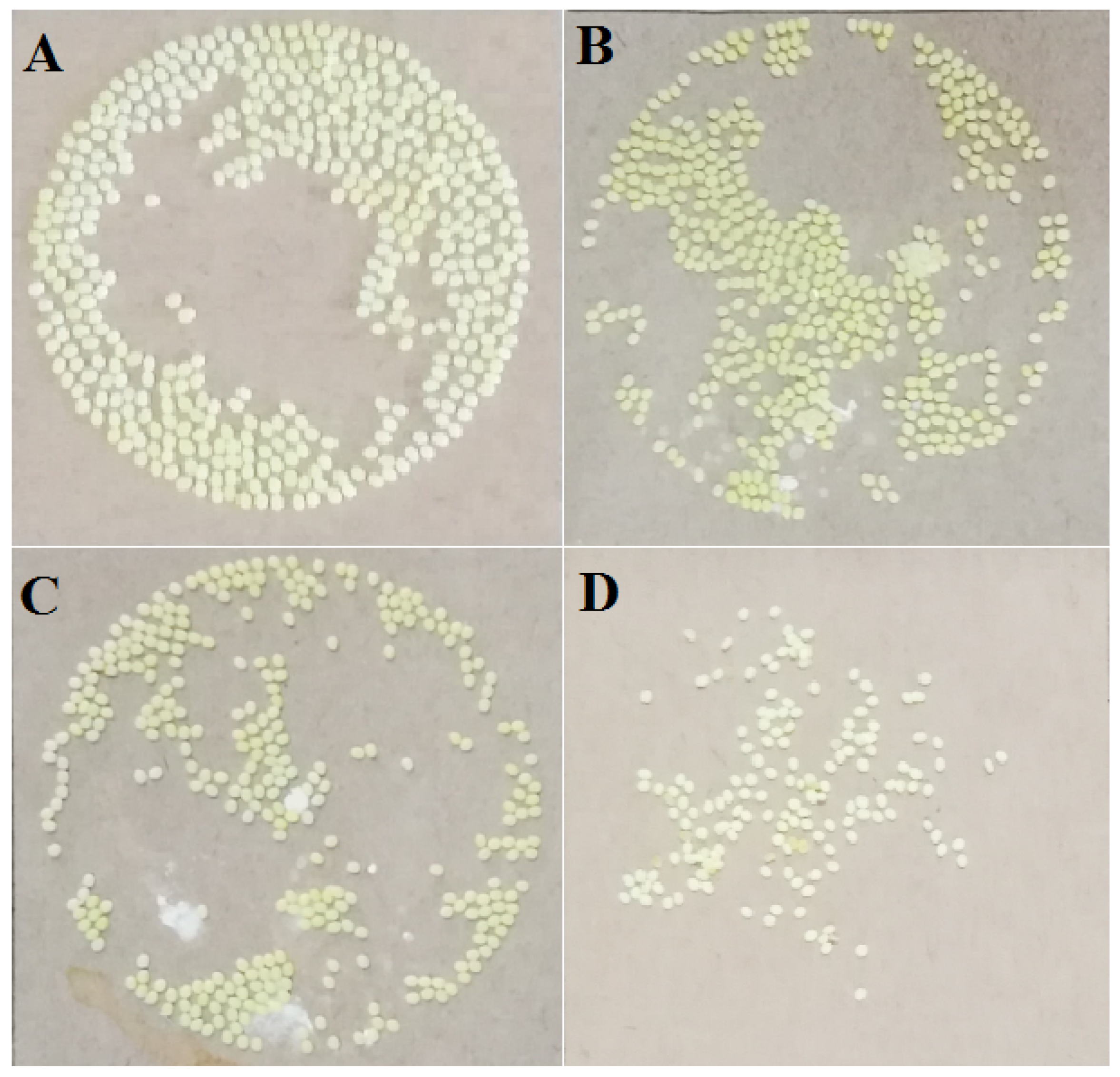 Insects 11 00467 g001