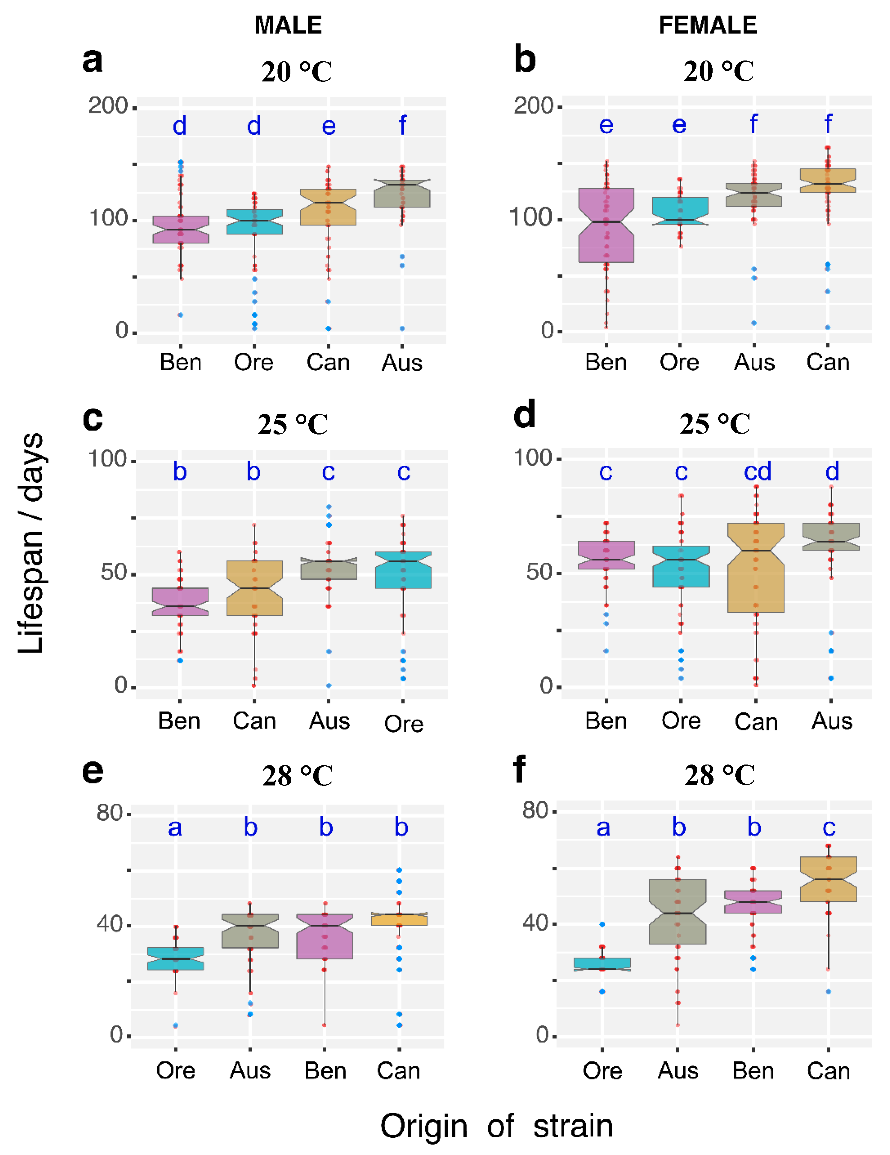 Insects 11 00470 g002