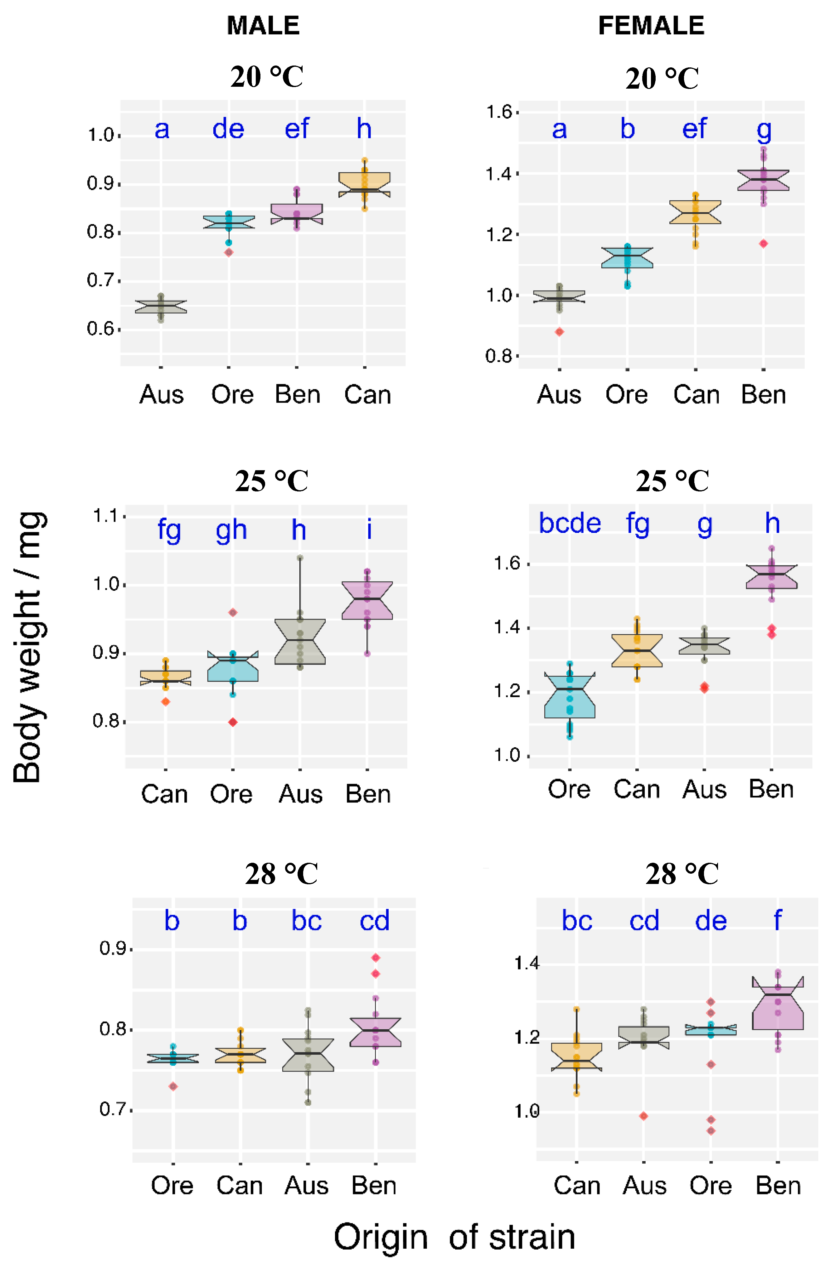 Insects 11 00470 g004
