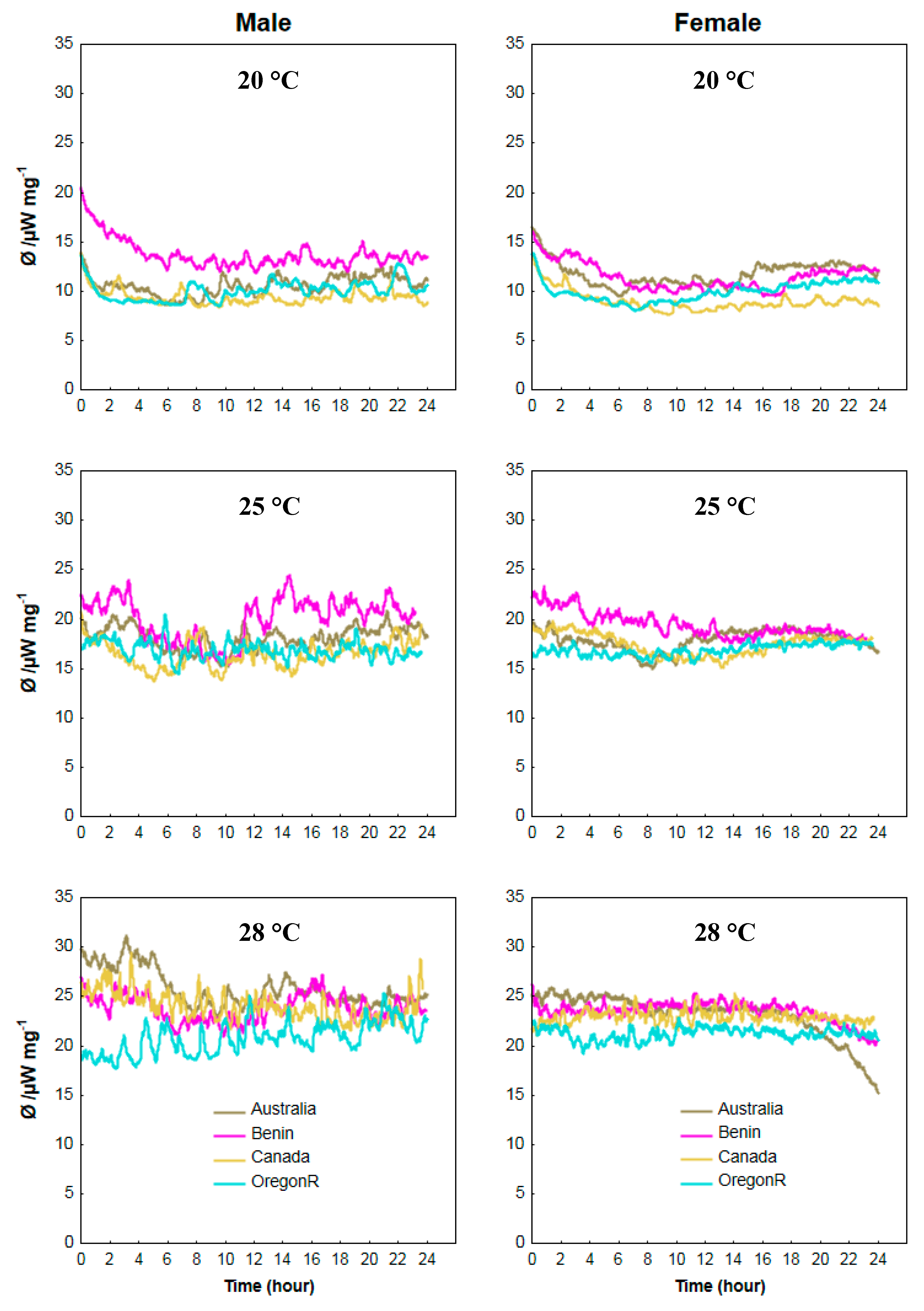Insects 11 00470 g005