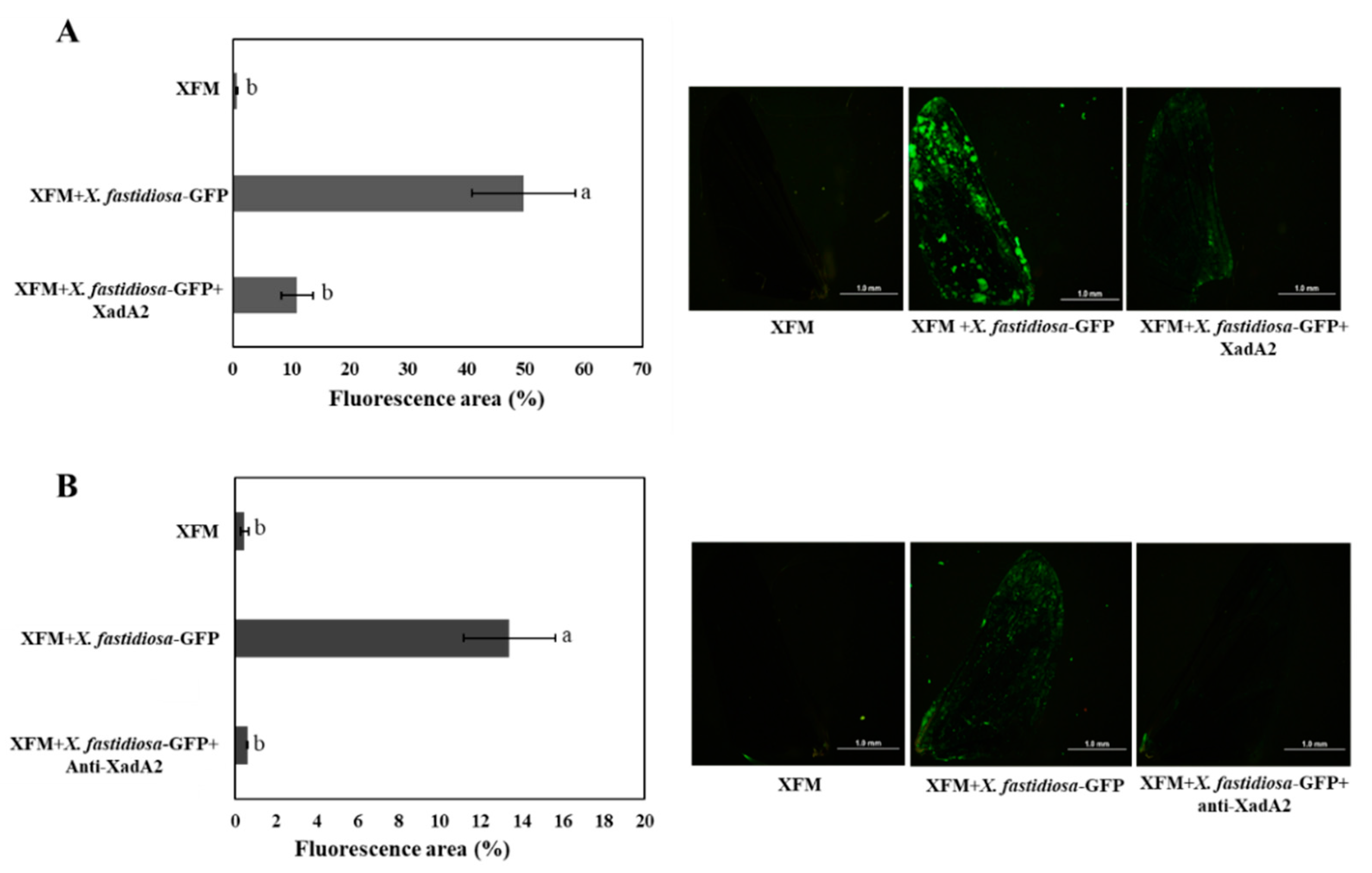 Insects 11 00473 g002 Insects 11 00473 g002