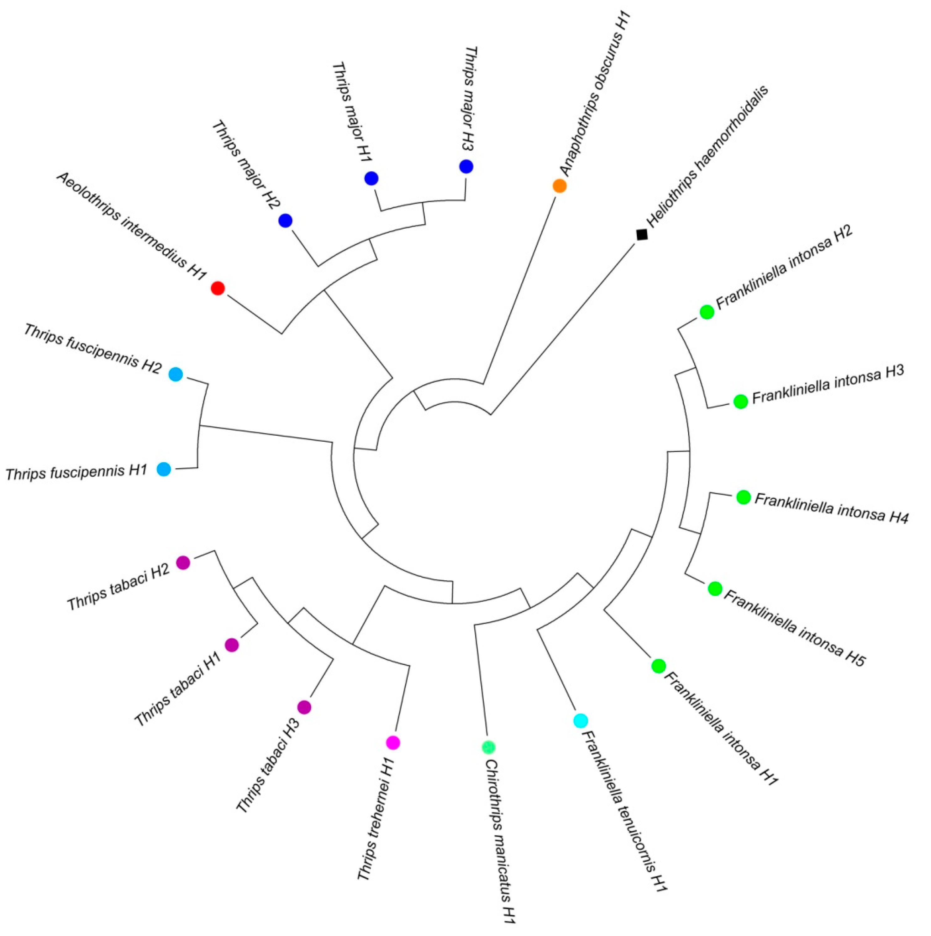 Insects 11 00489 g001