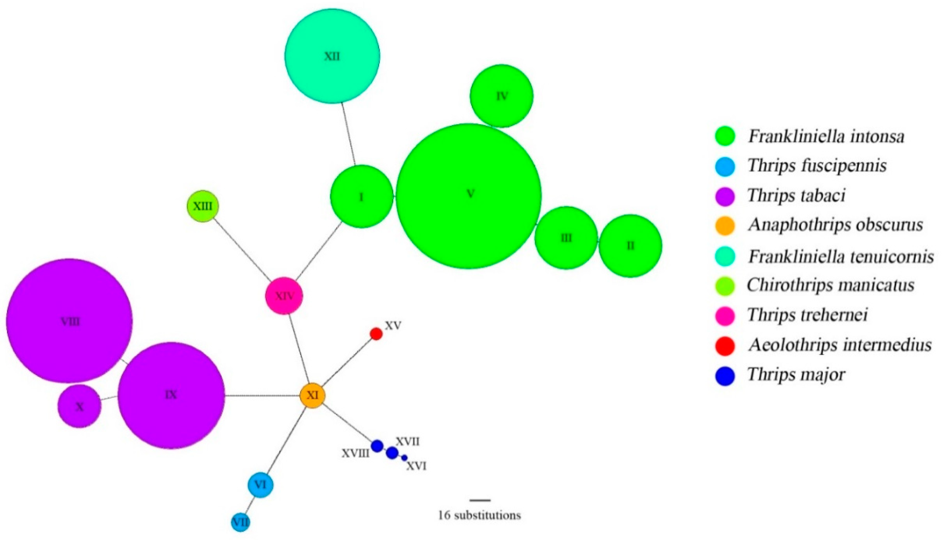 Insects 11 00489 g002