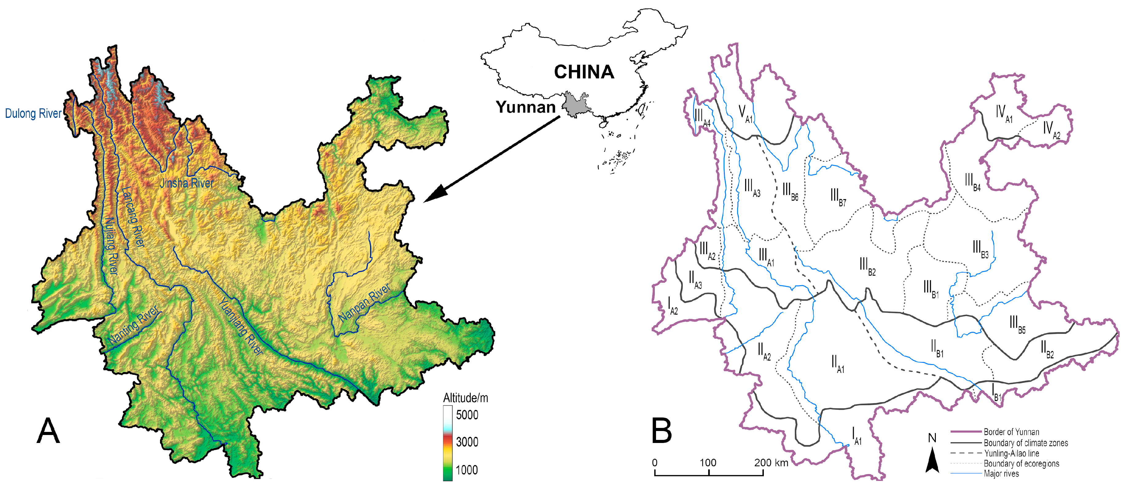 Insects 11 00525 g001