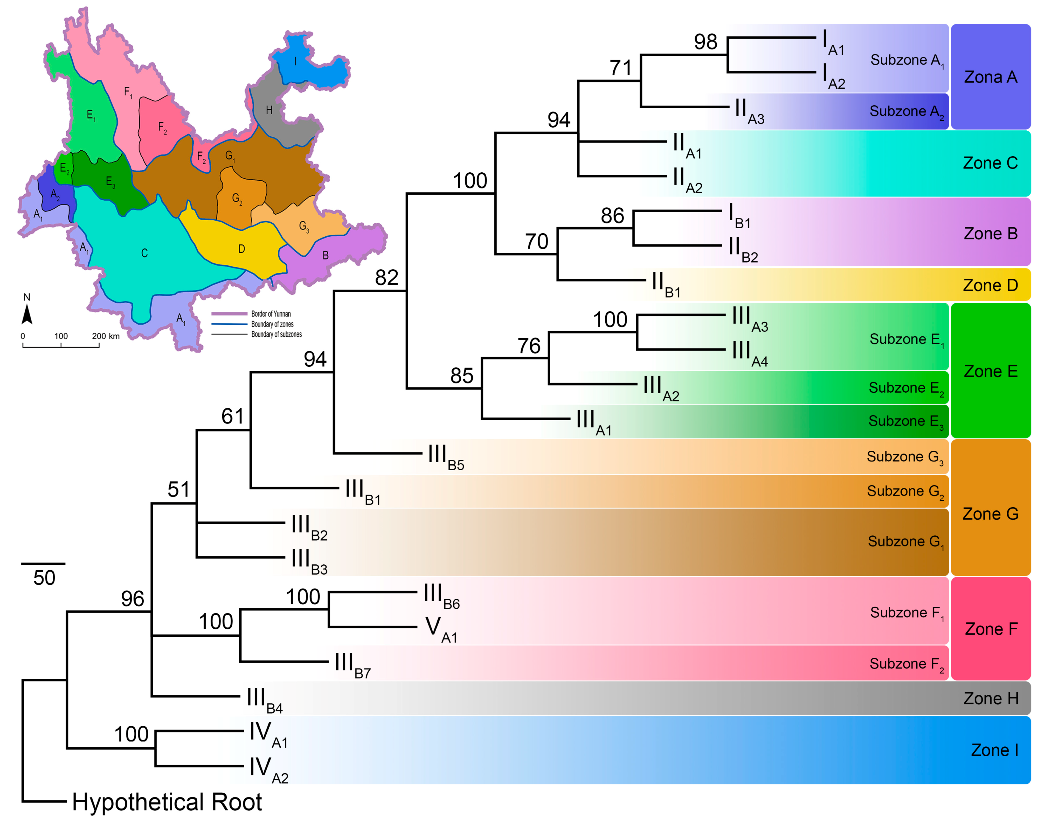 Insects 11 00525 g004